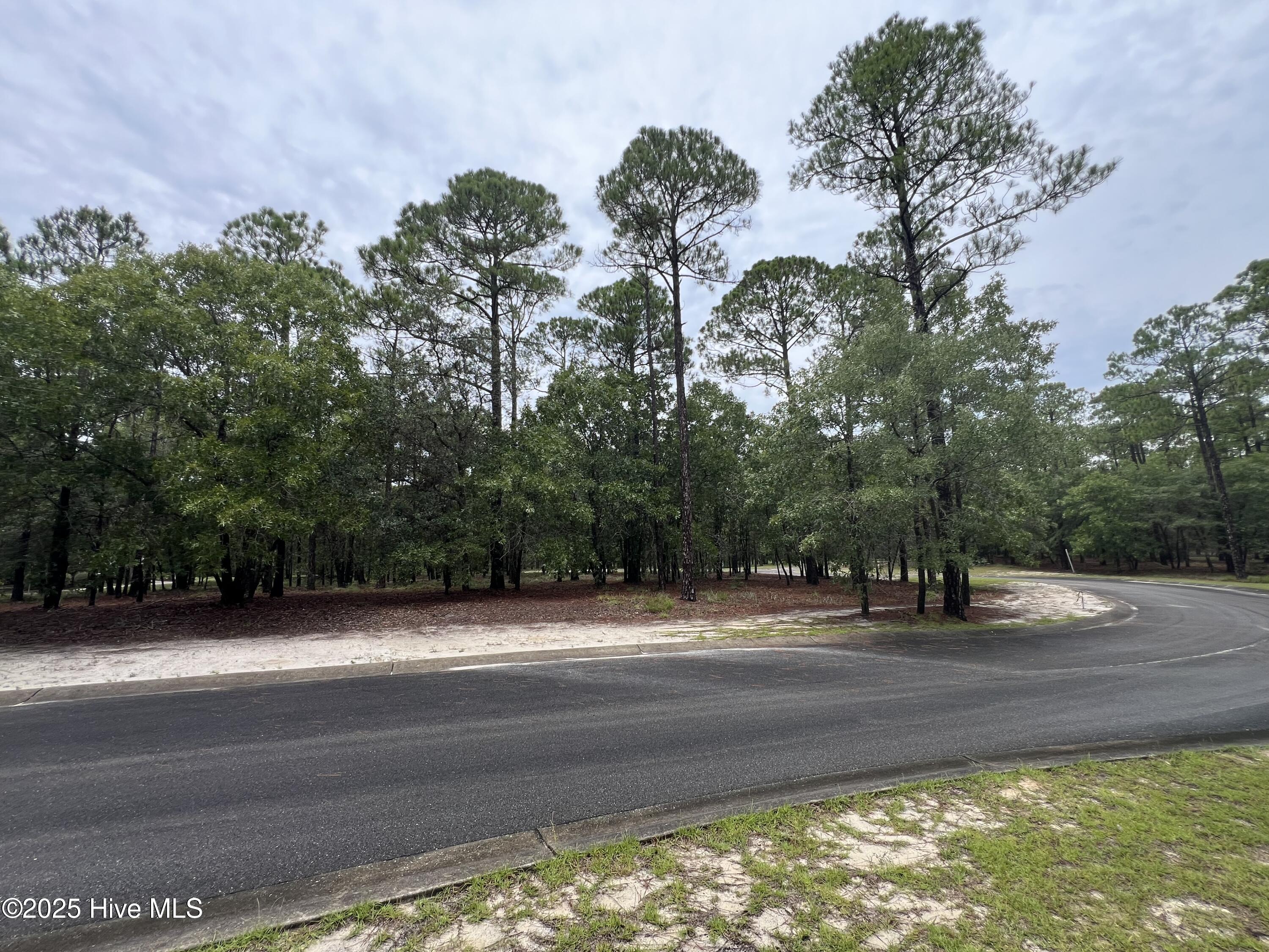 100527062 | Photo 23