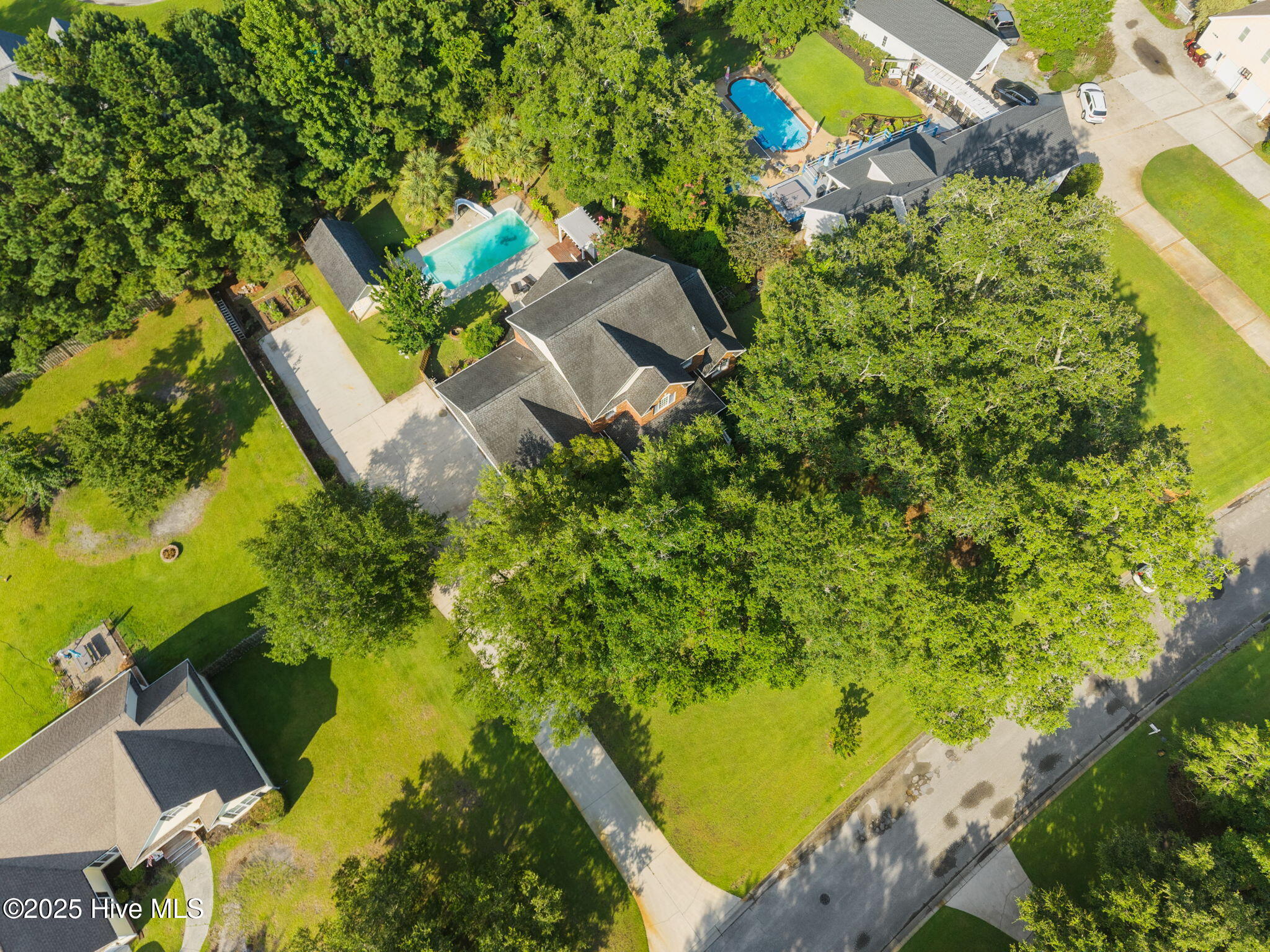 100518834 | Photo 83