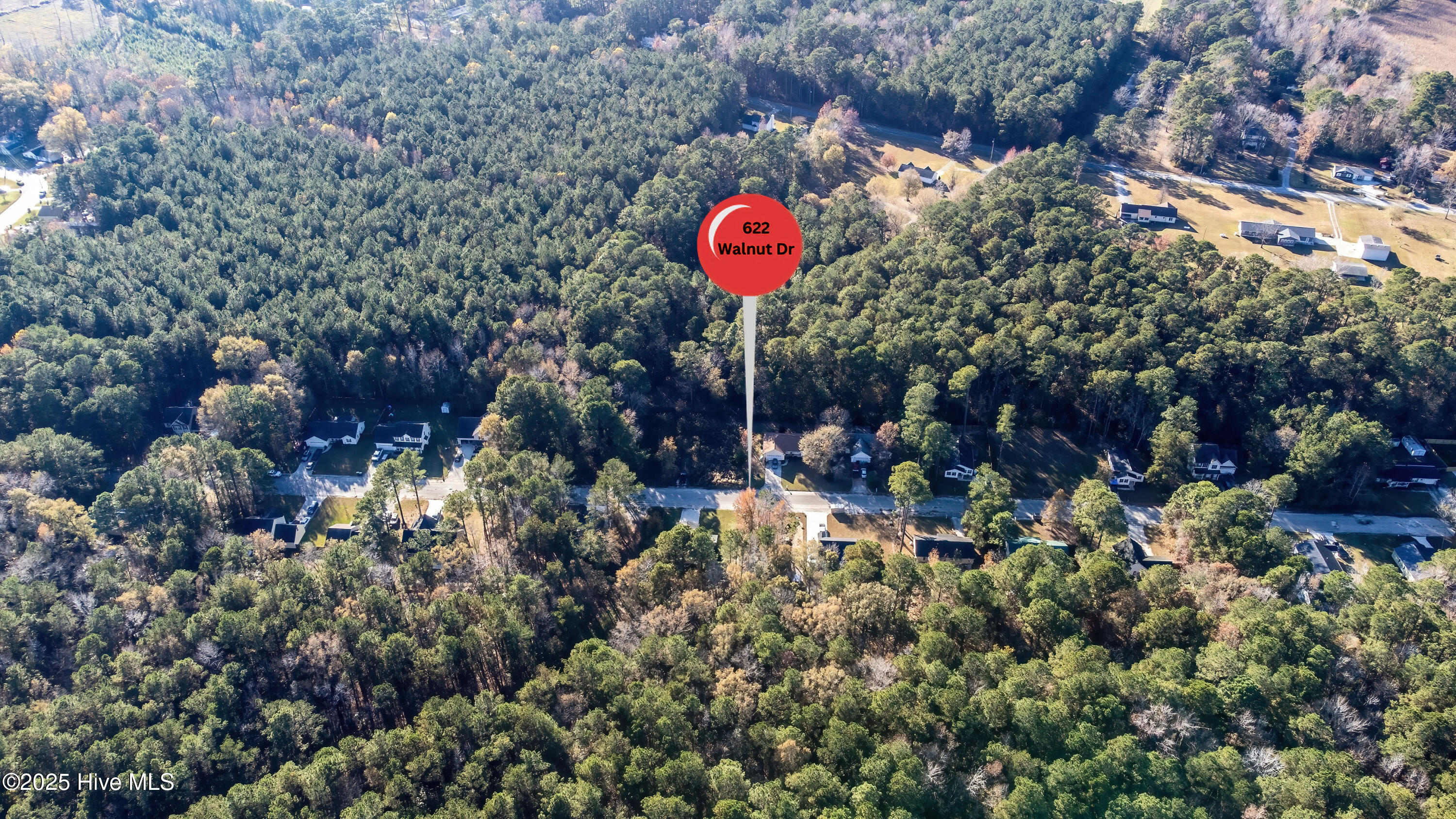 100538278 | Photo 52