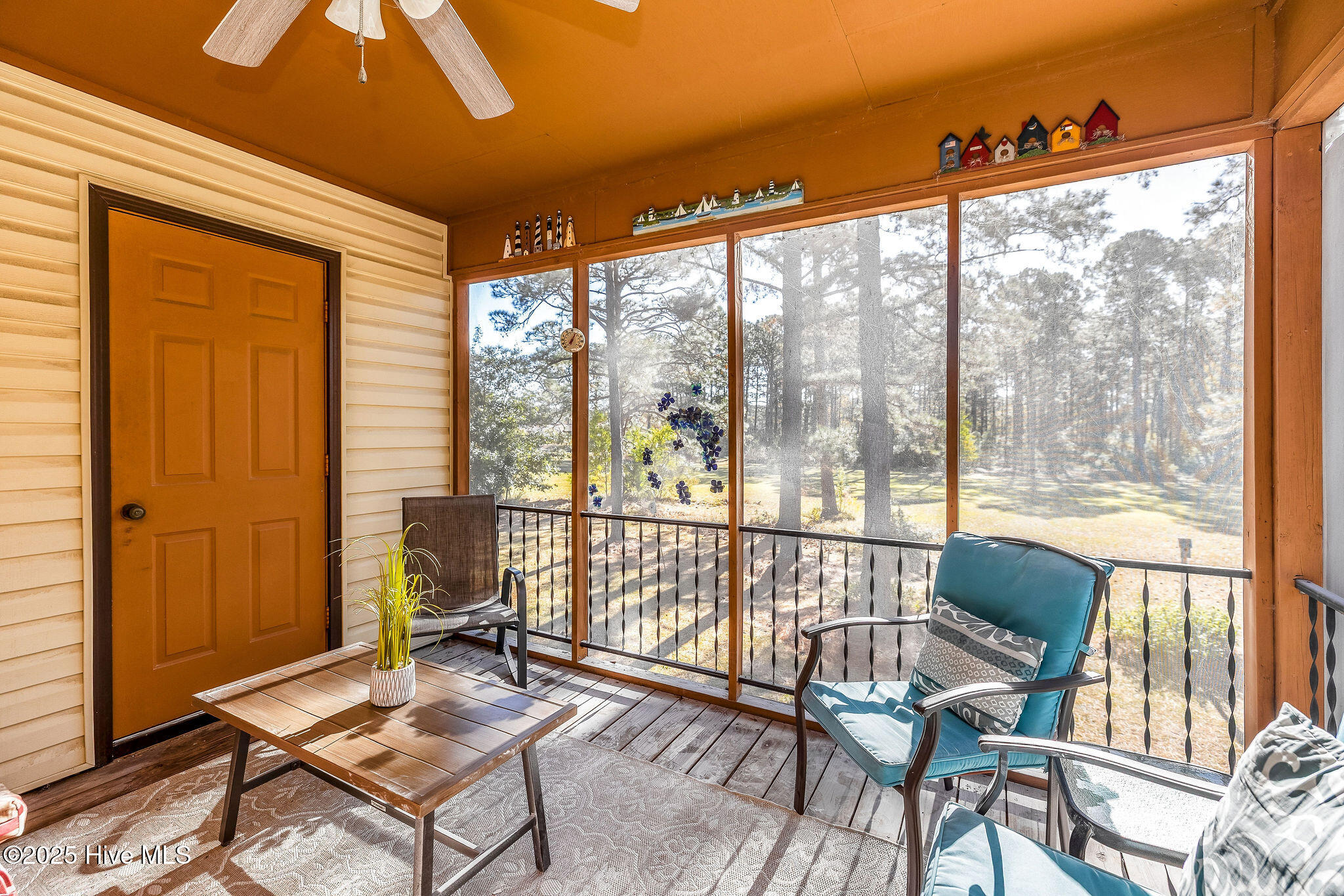 100541732 | Photo 25