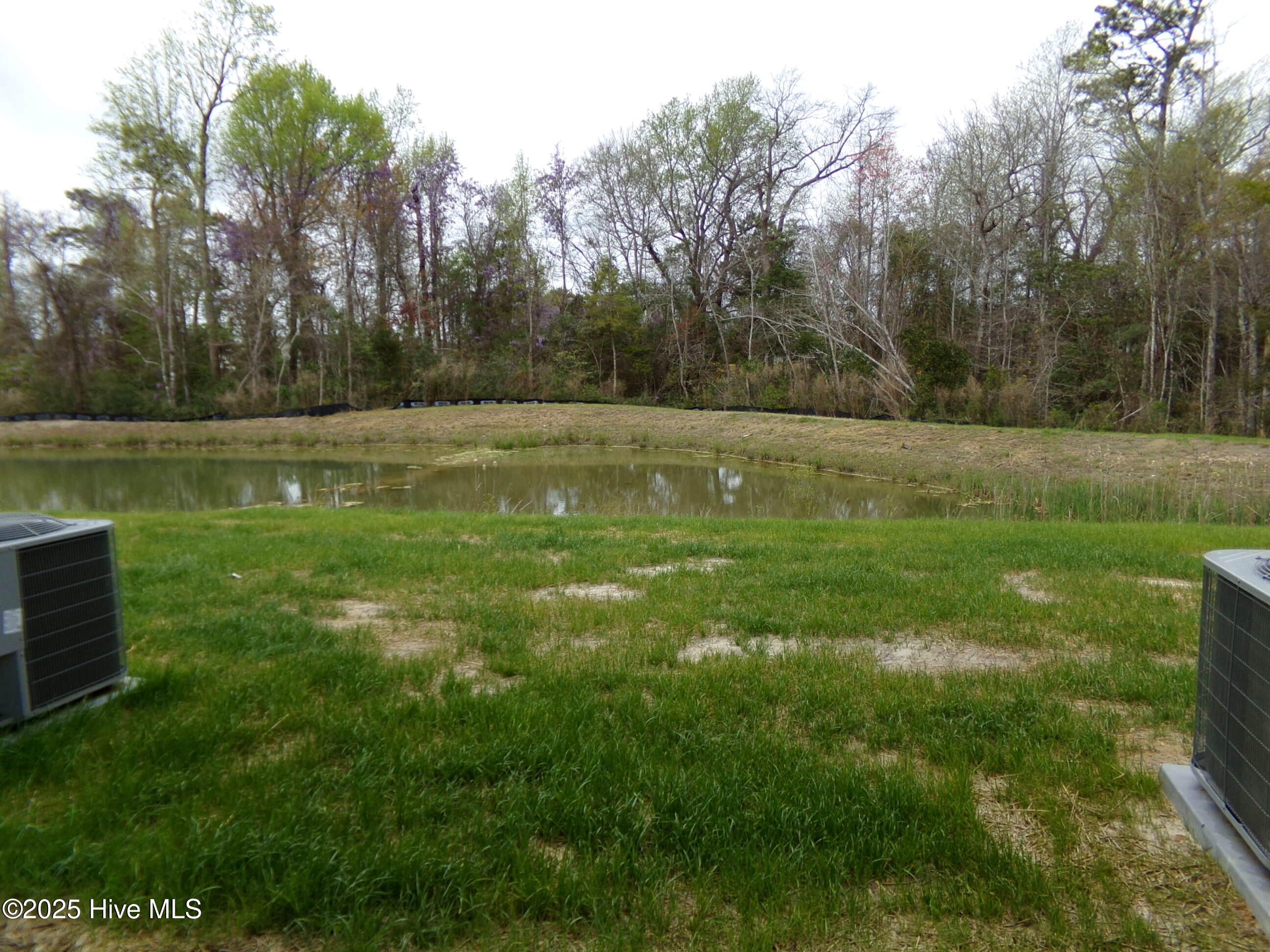 100538831 | Photo 29