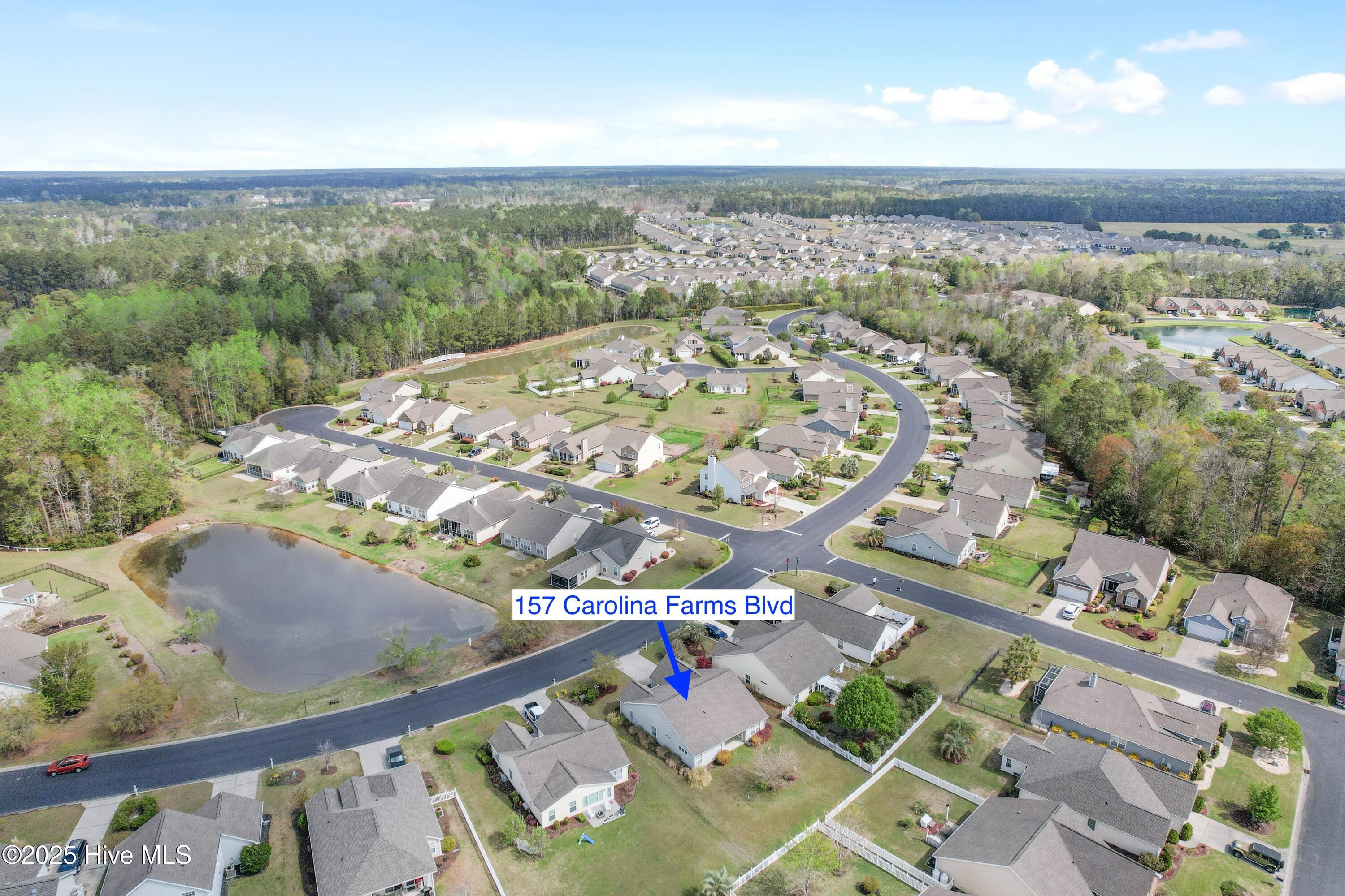 100547243 | Photo 41