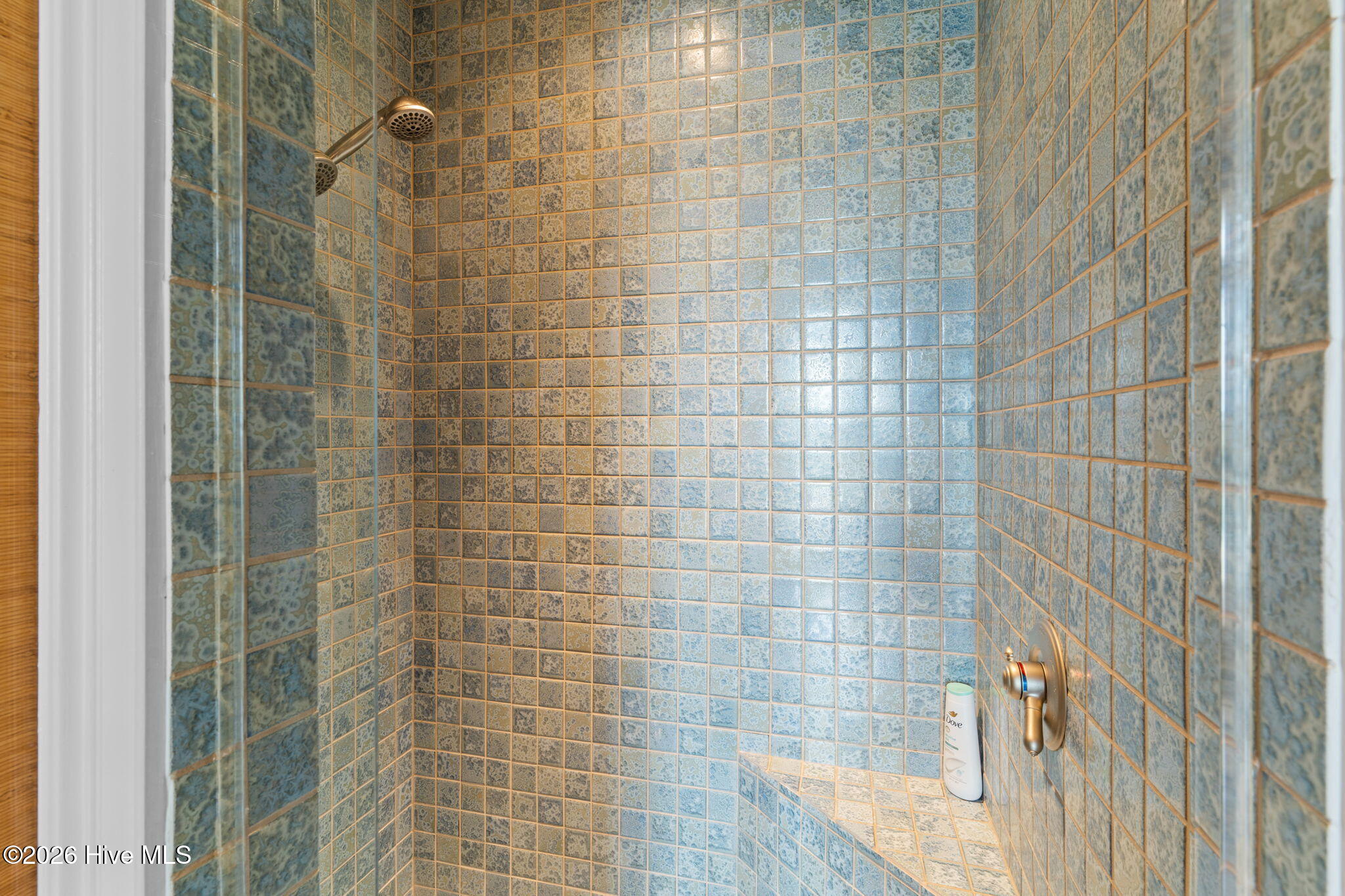 100554709 | Photo 19