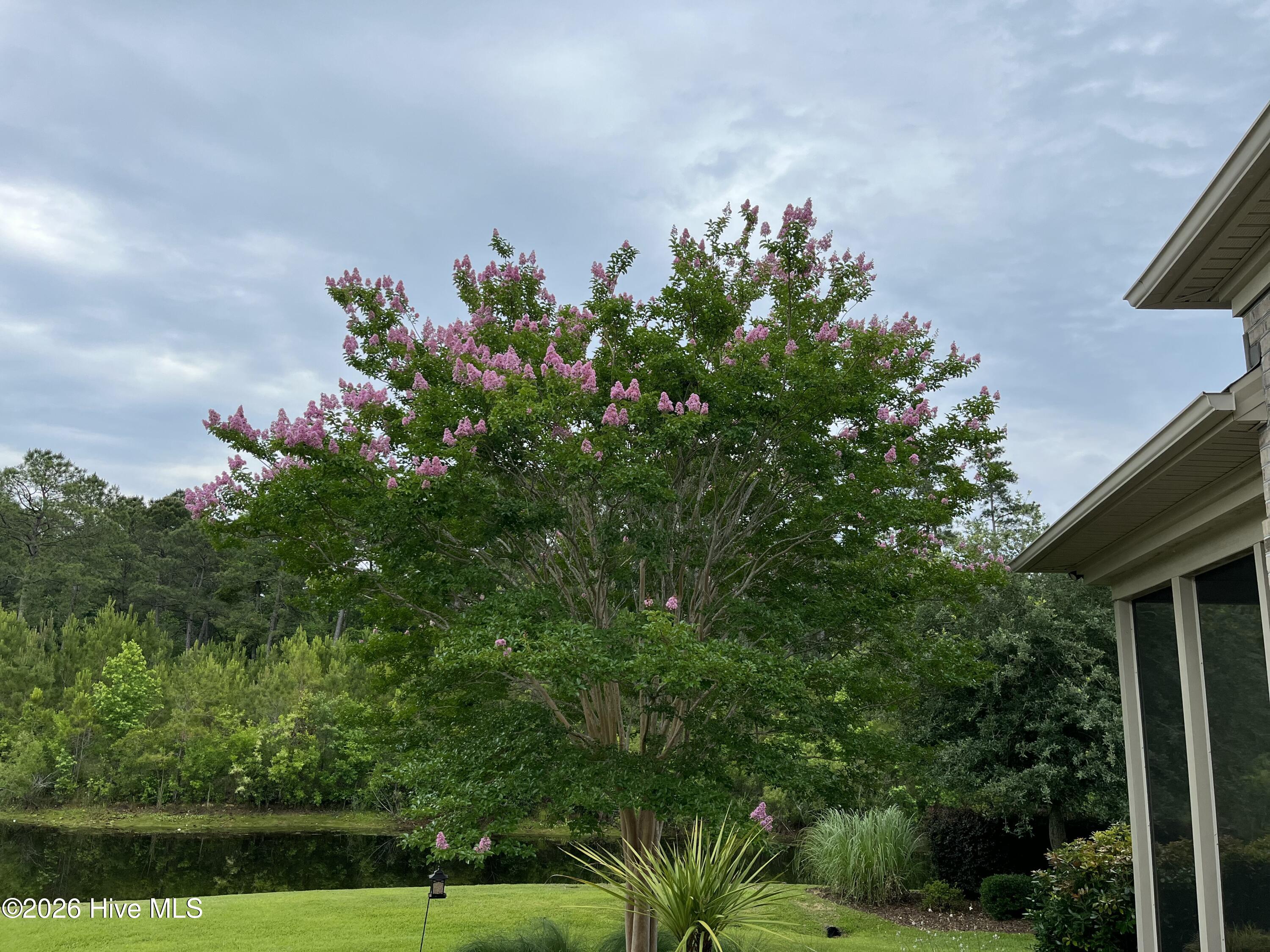 100555676 | Photo 56