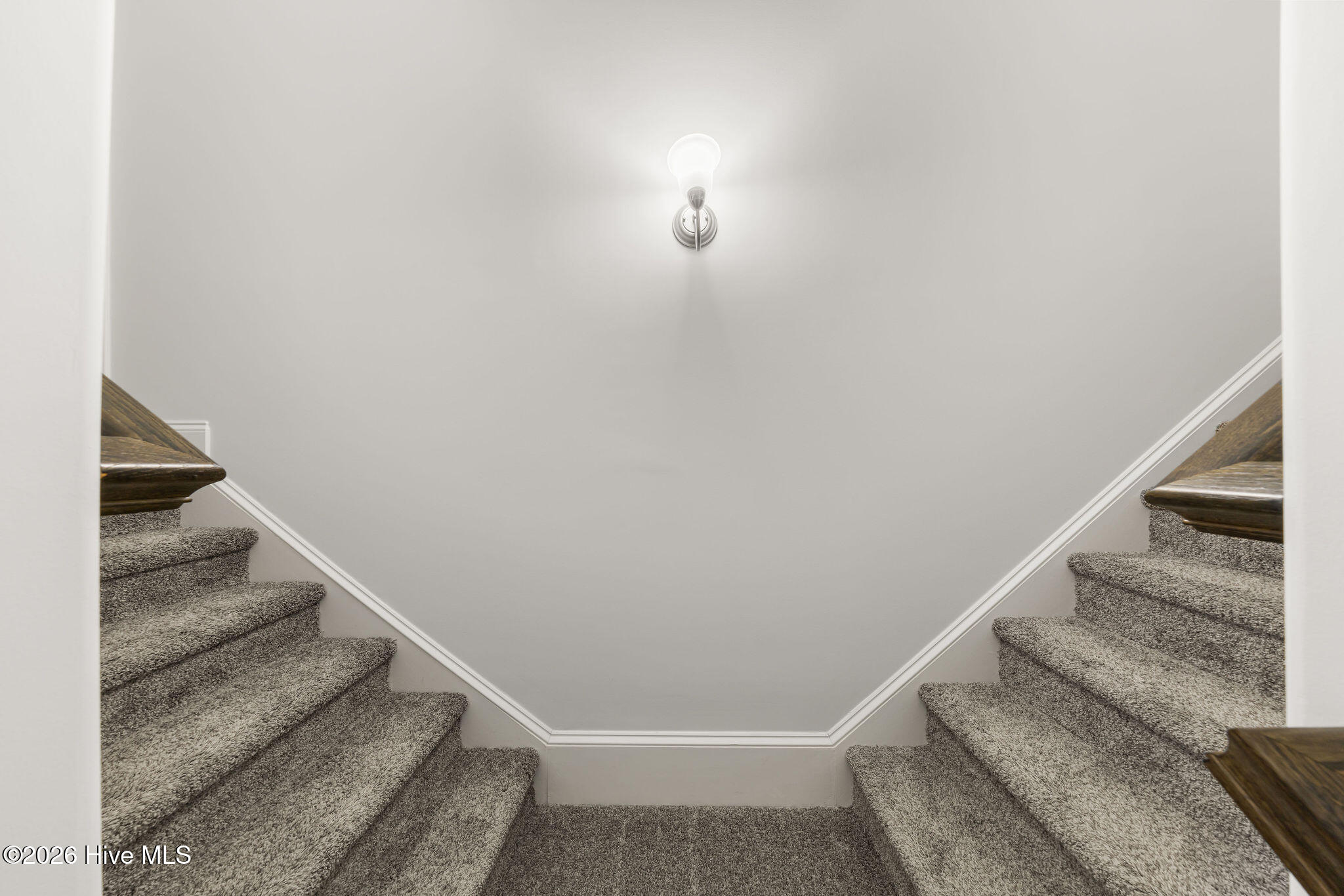 100554356 | Photo 43