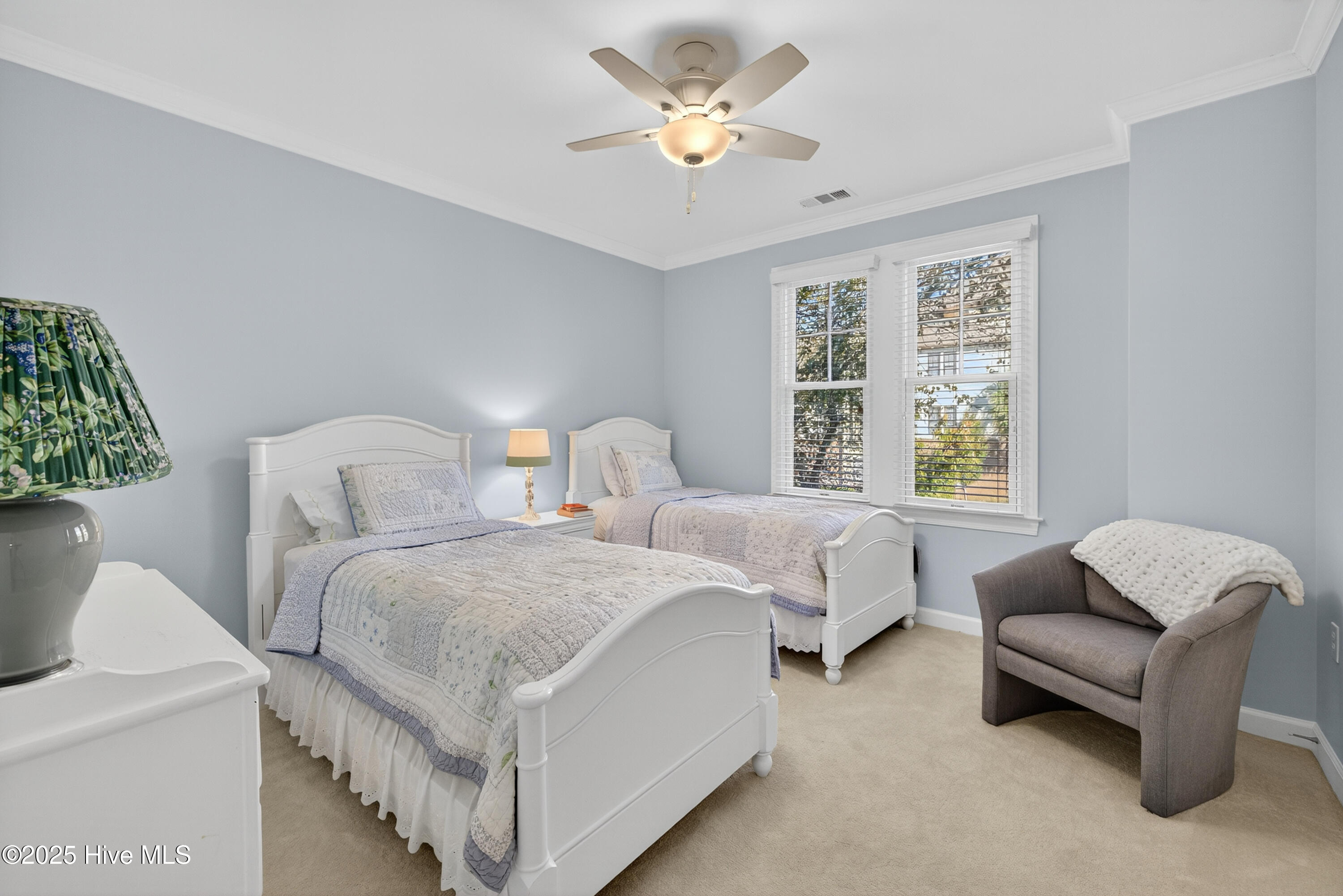 100536723 | Photo 15