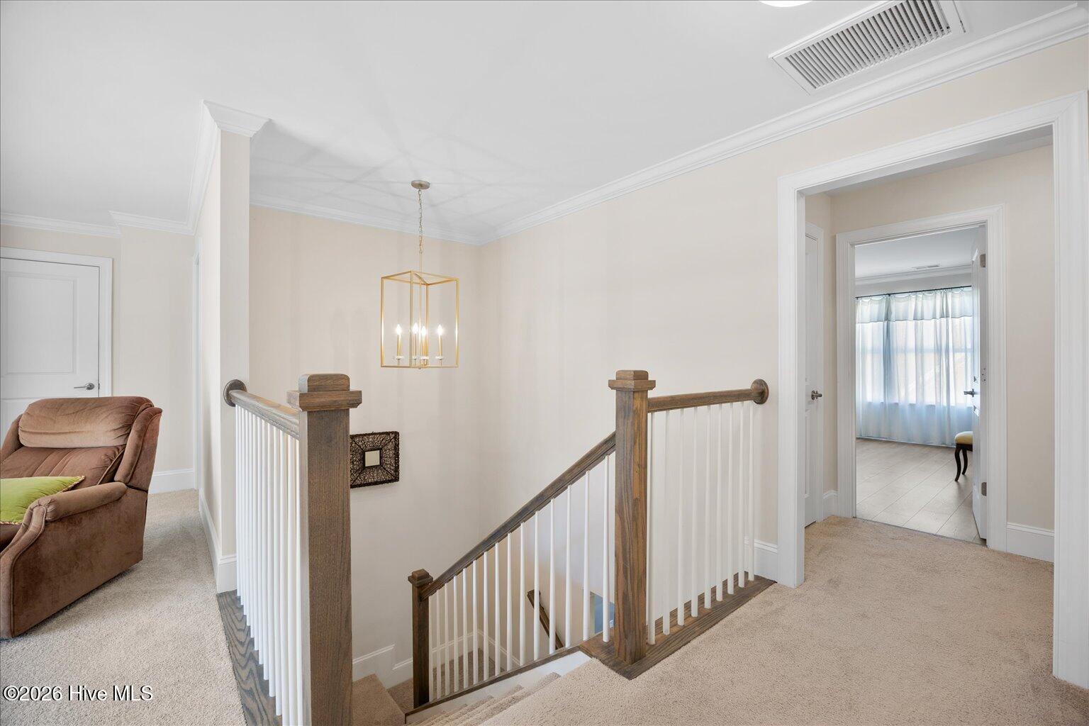 100555417 | Photo 33