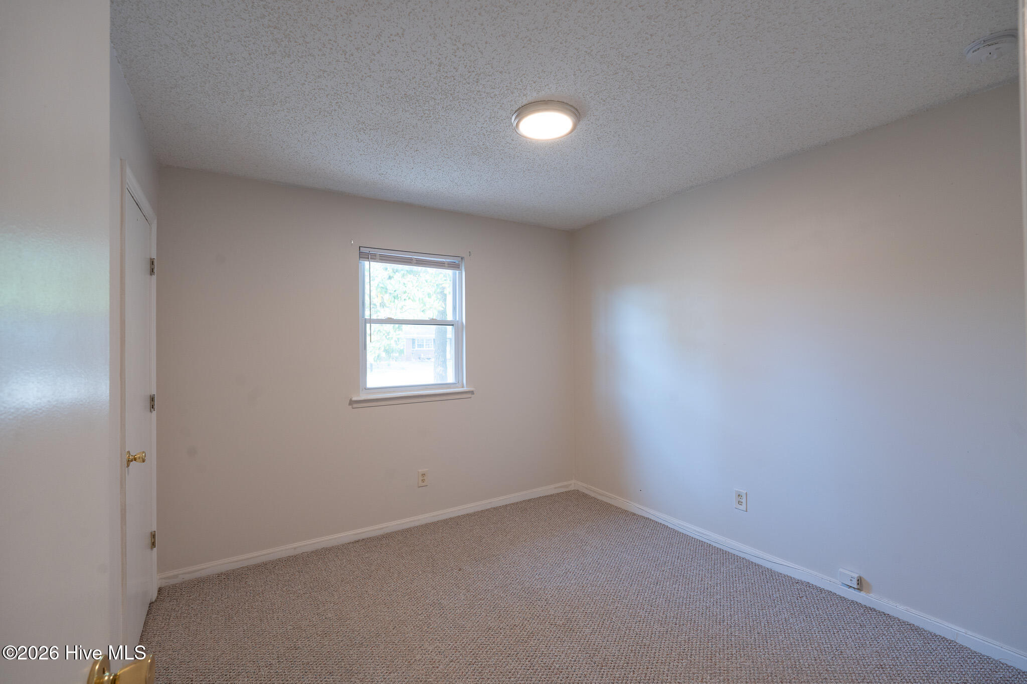 100567624 | Photo 22