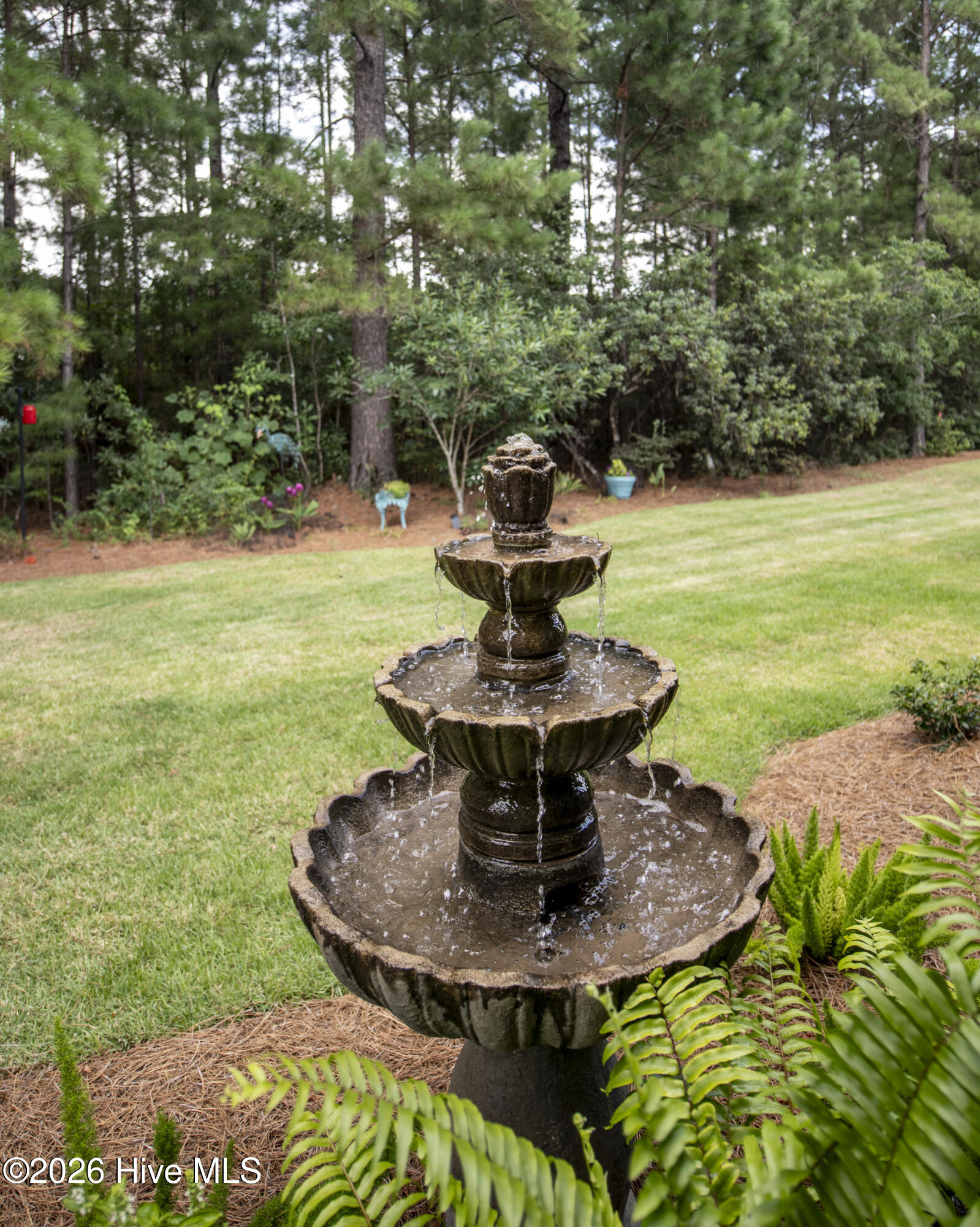 100590391 | Photo 43