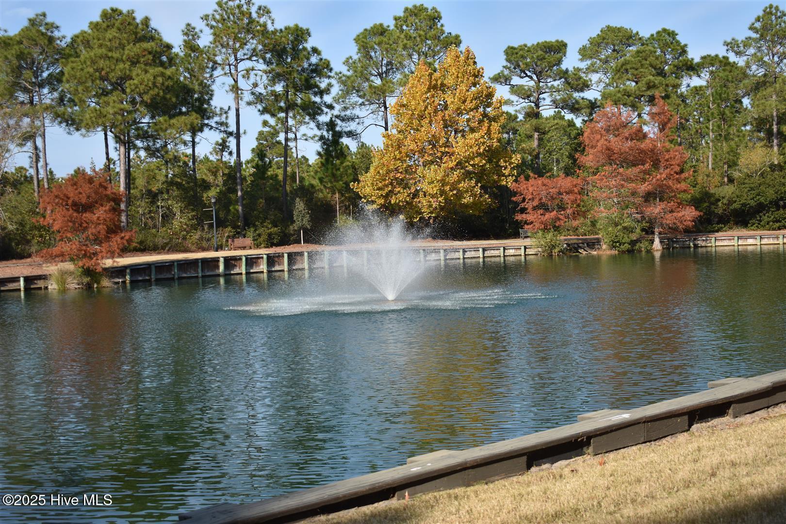 100542626 | Photo 62