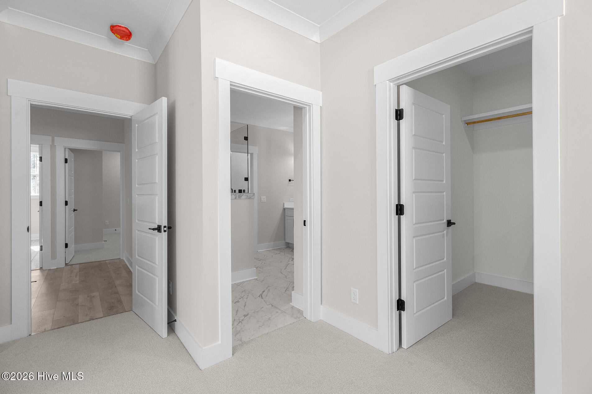 100555900 | Photo 35