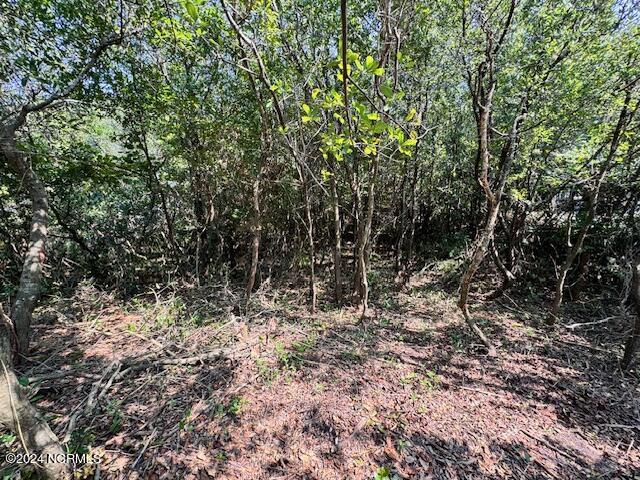 100570104 | Photo 12