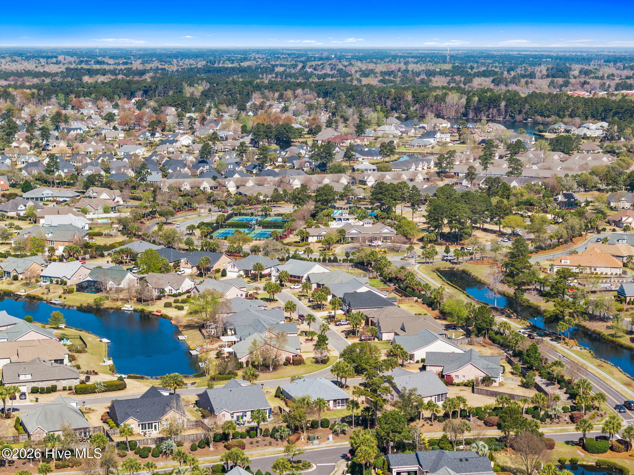 100562365 | Photo 35