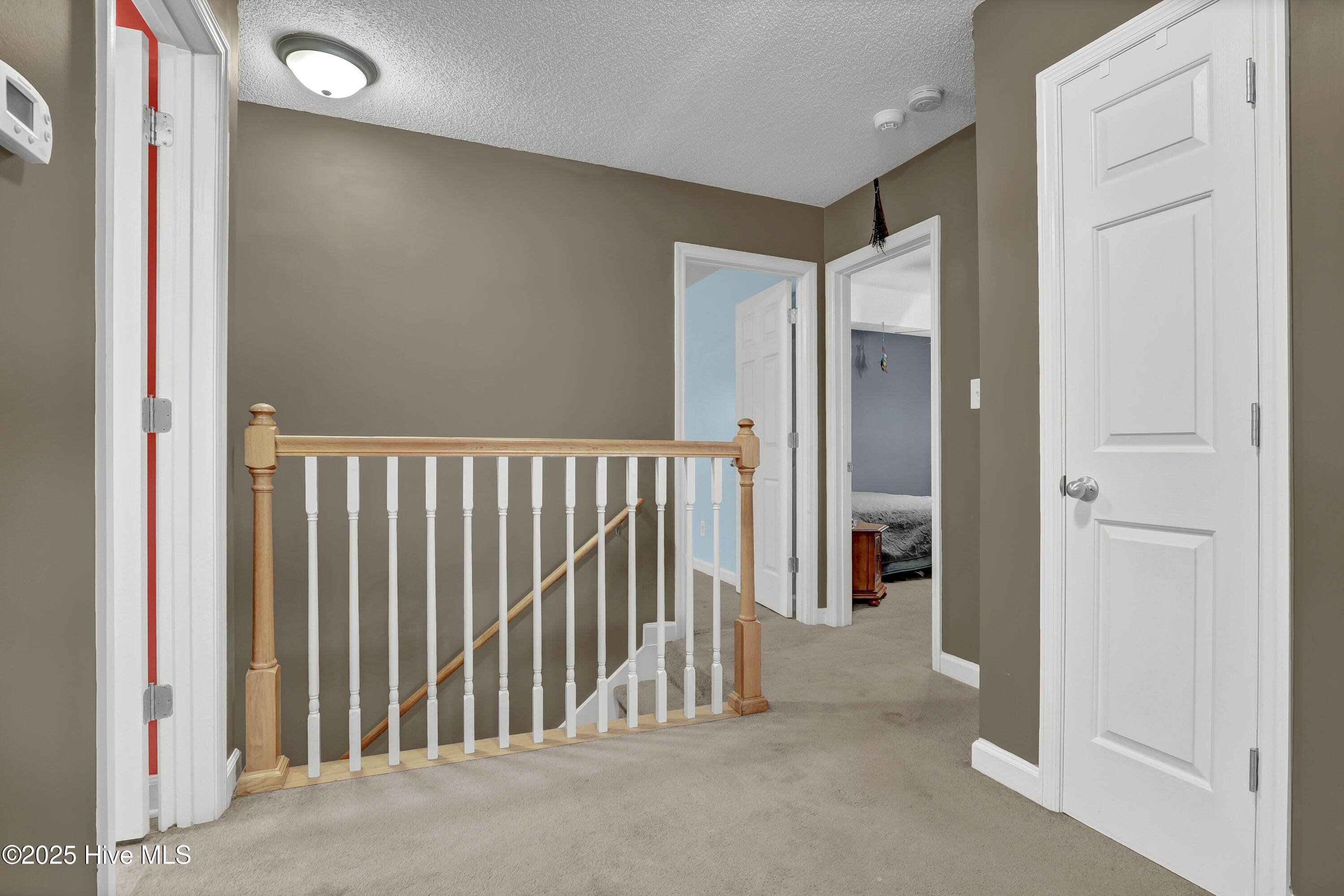 100536597 | Photo 15