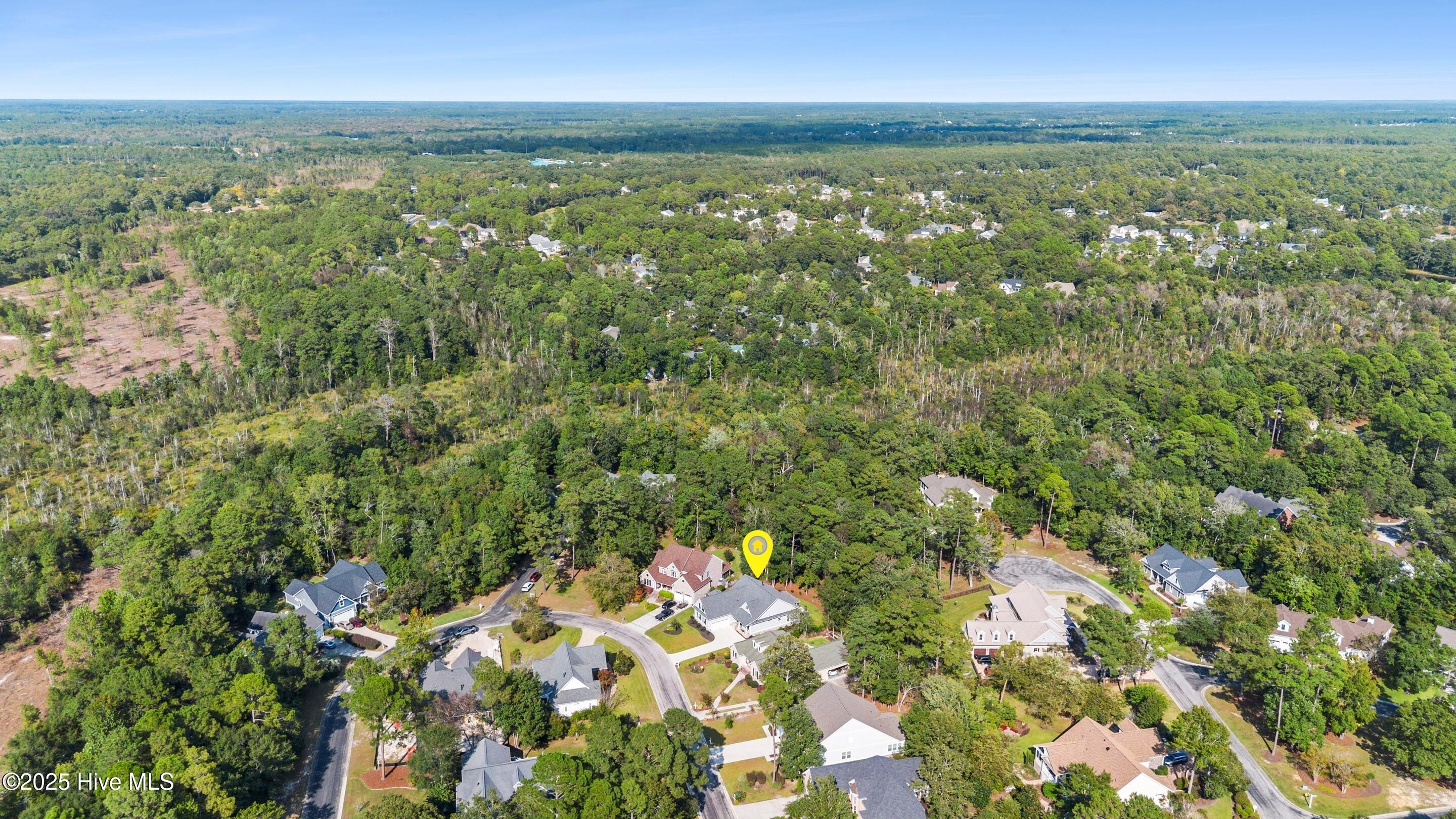 100558361 | Photo 115