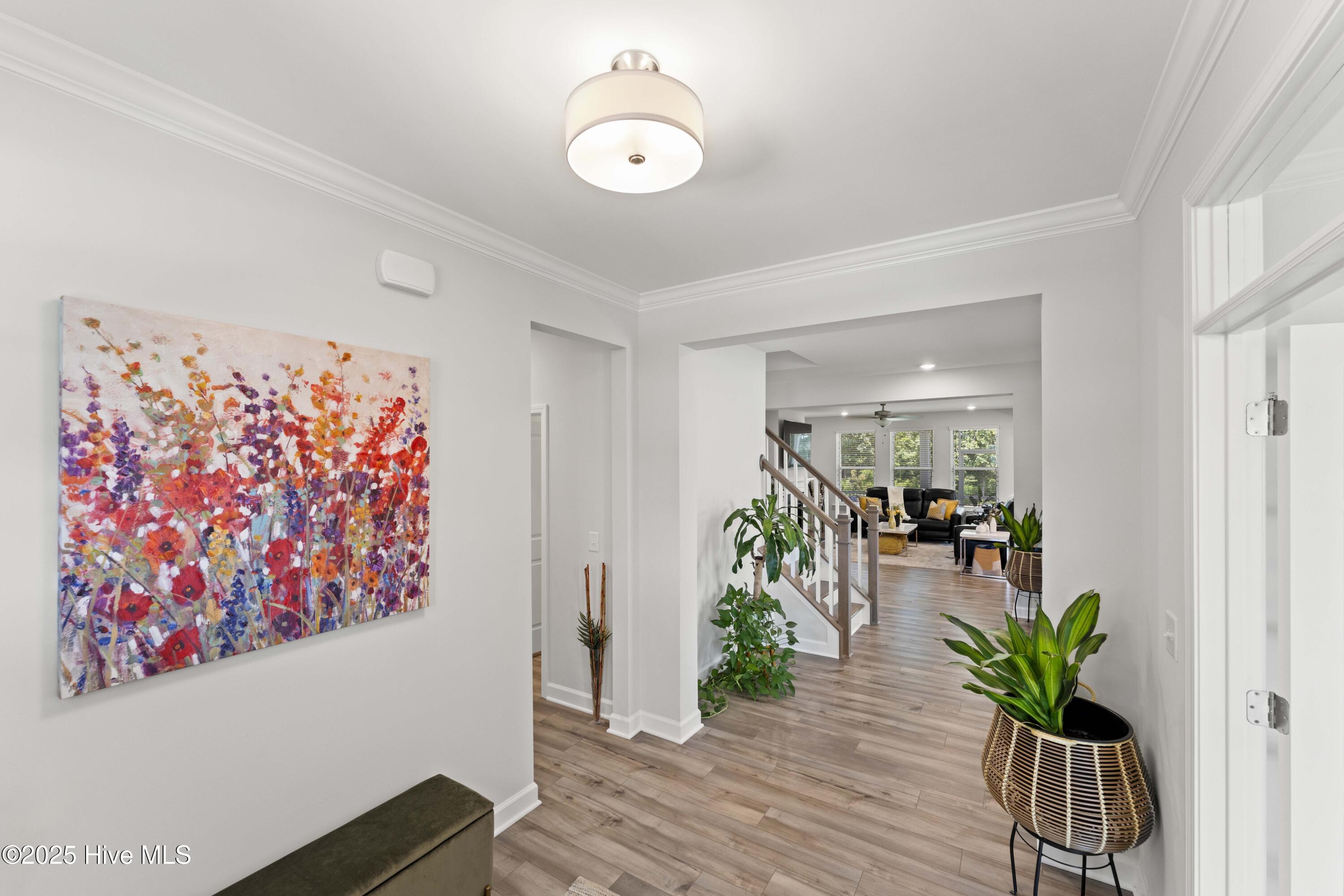 205 Morningside Lane, Angier, NC, 27501