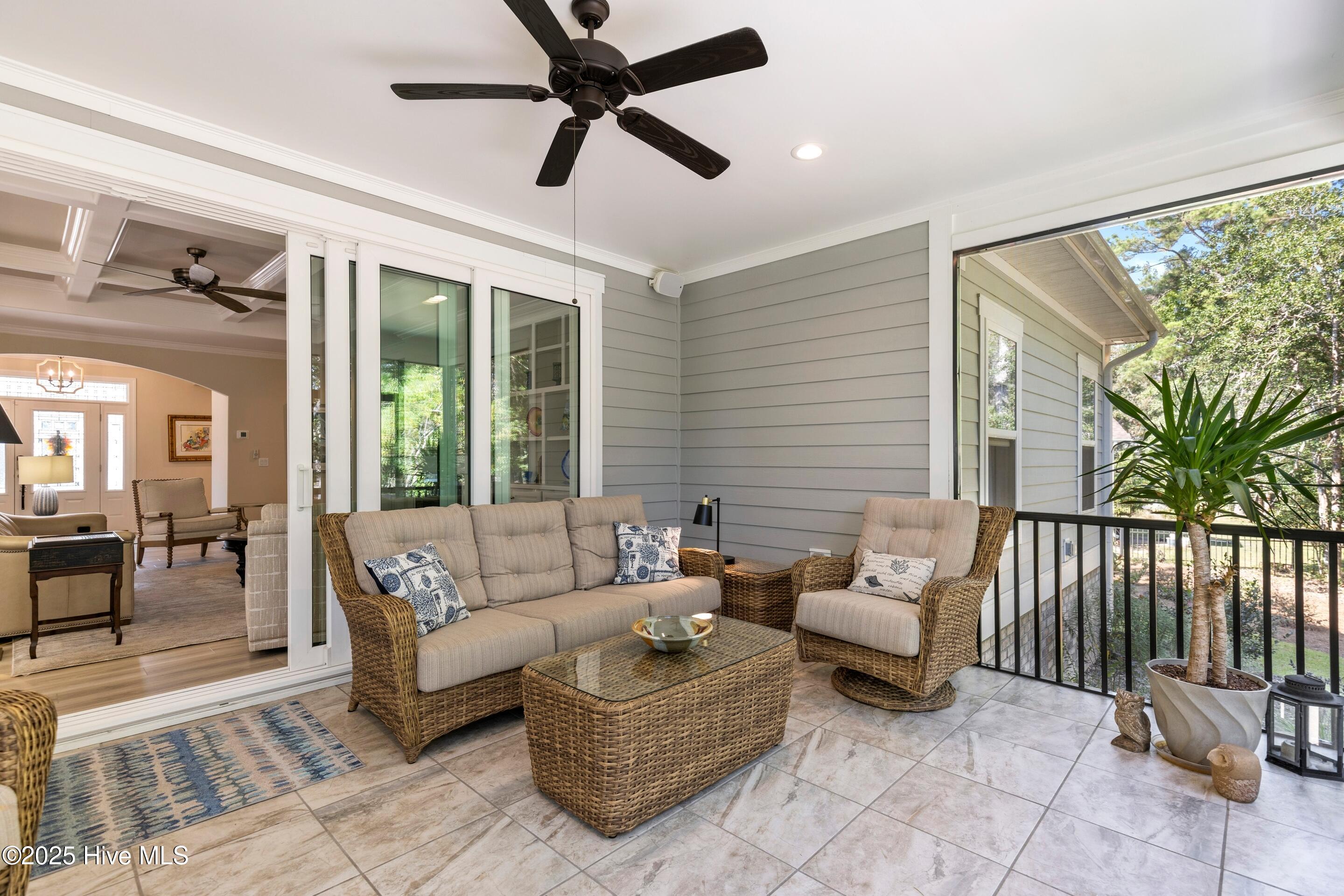 100558361 | Photo 24