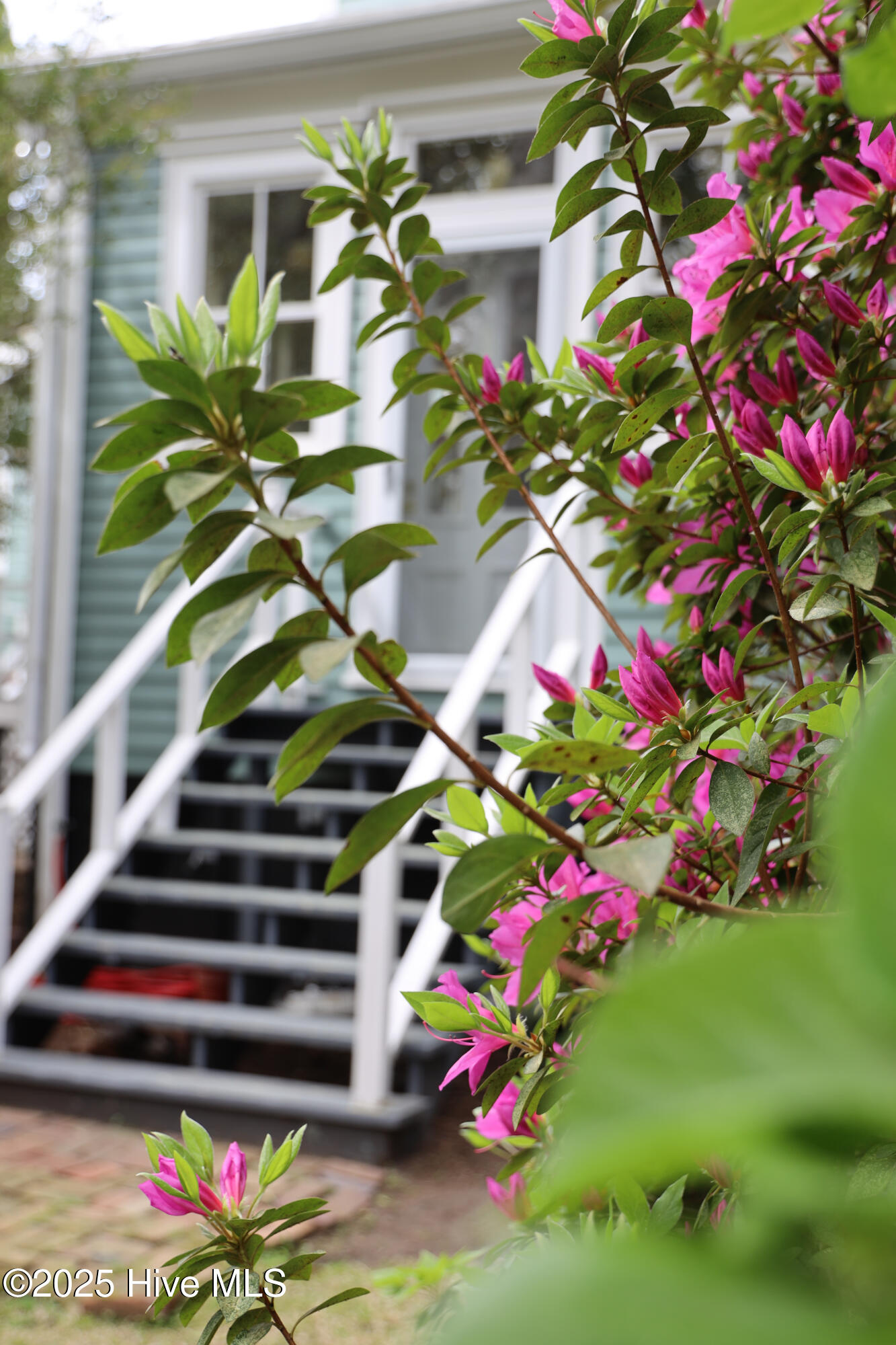 100501936 | Photo 91