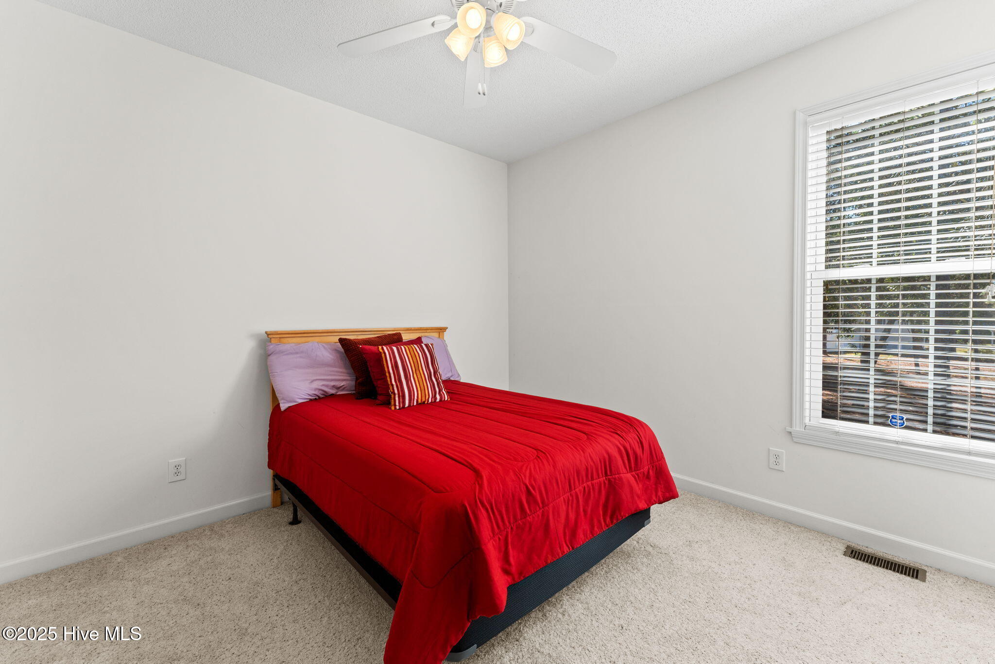 100539831 | Photo 28