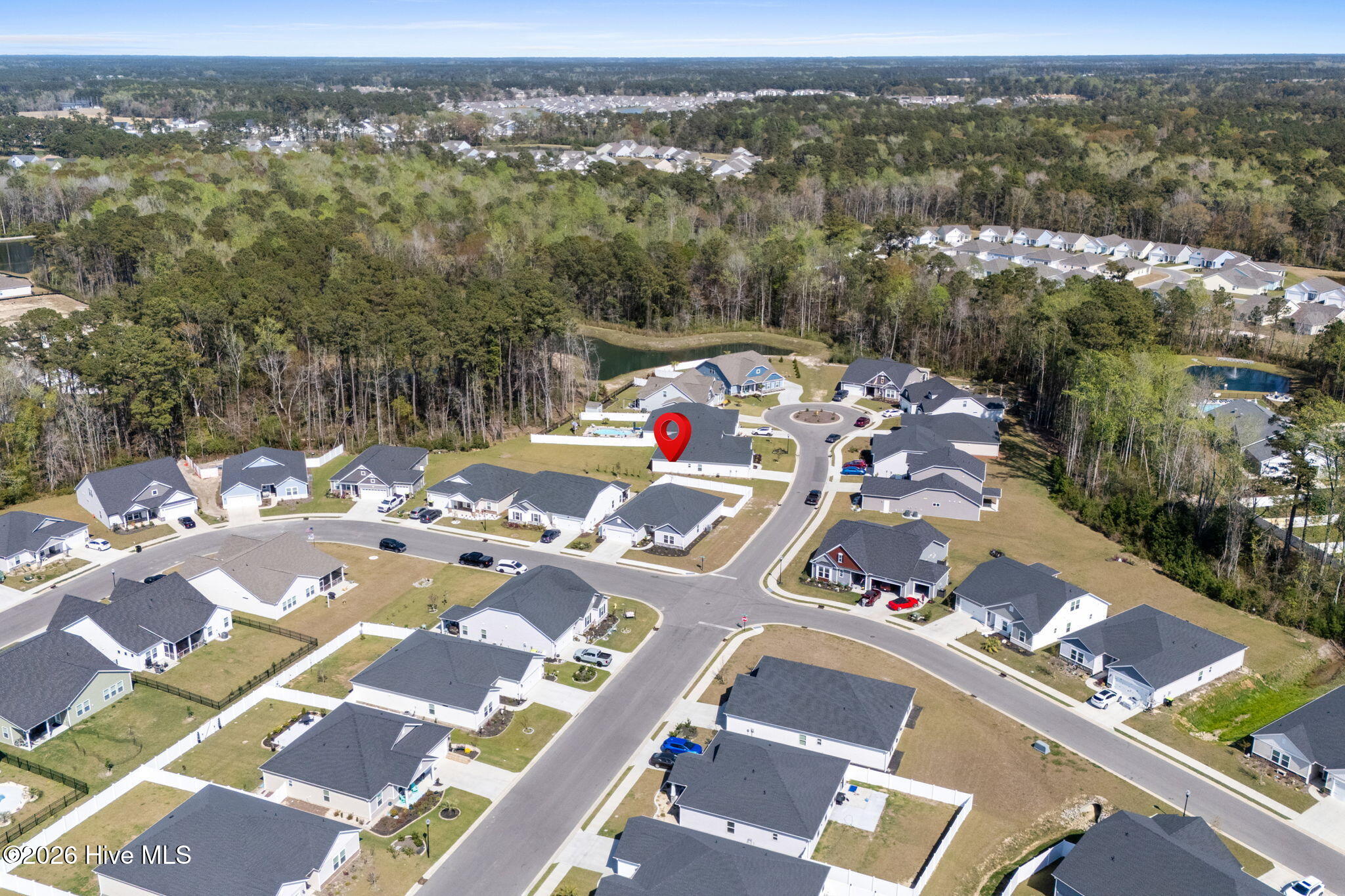 100563775 | Photo 47