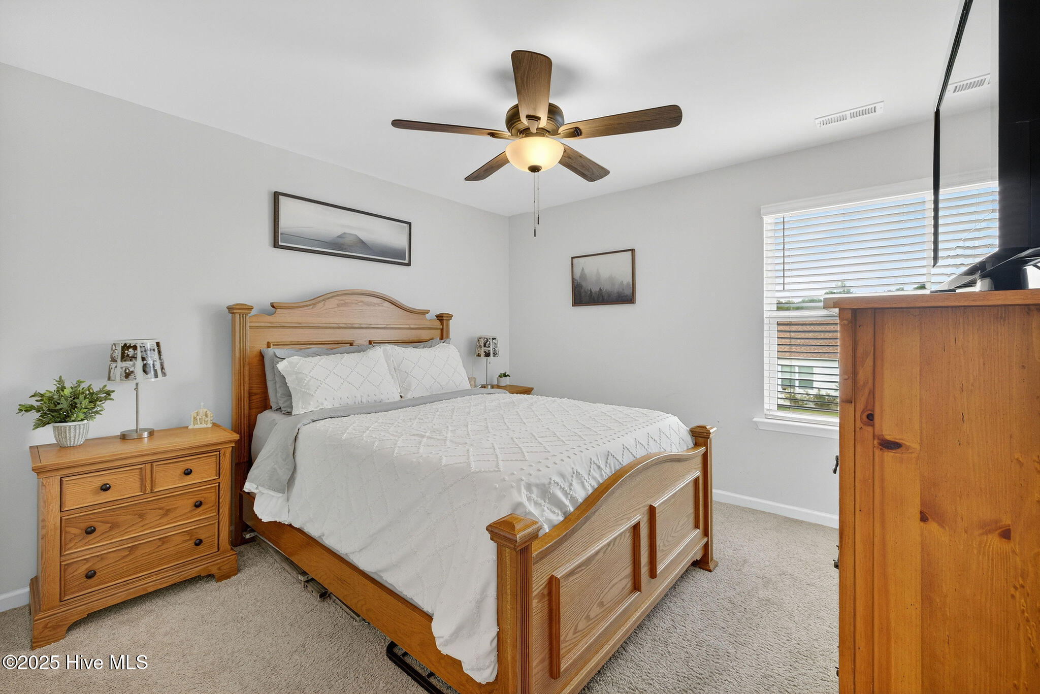 100535181 | Photo 31