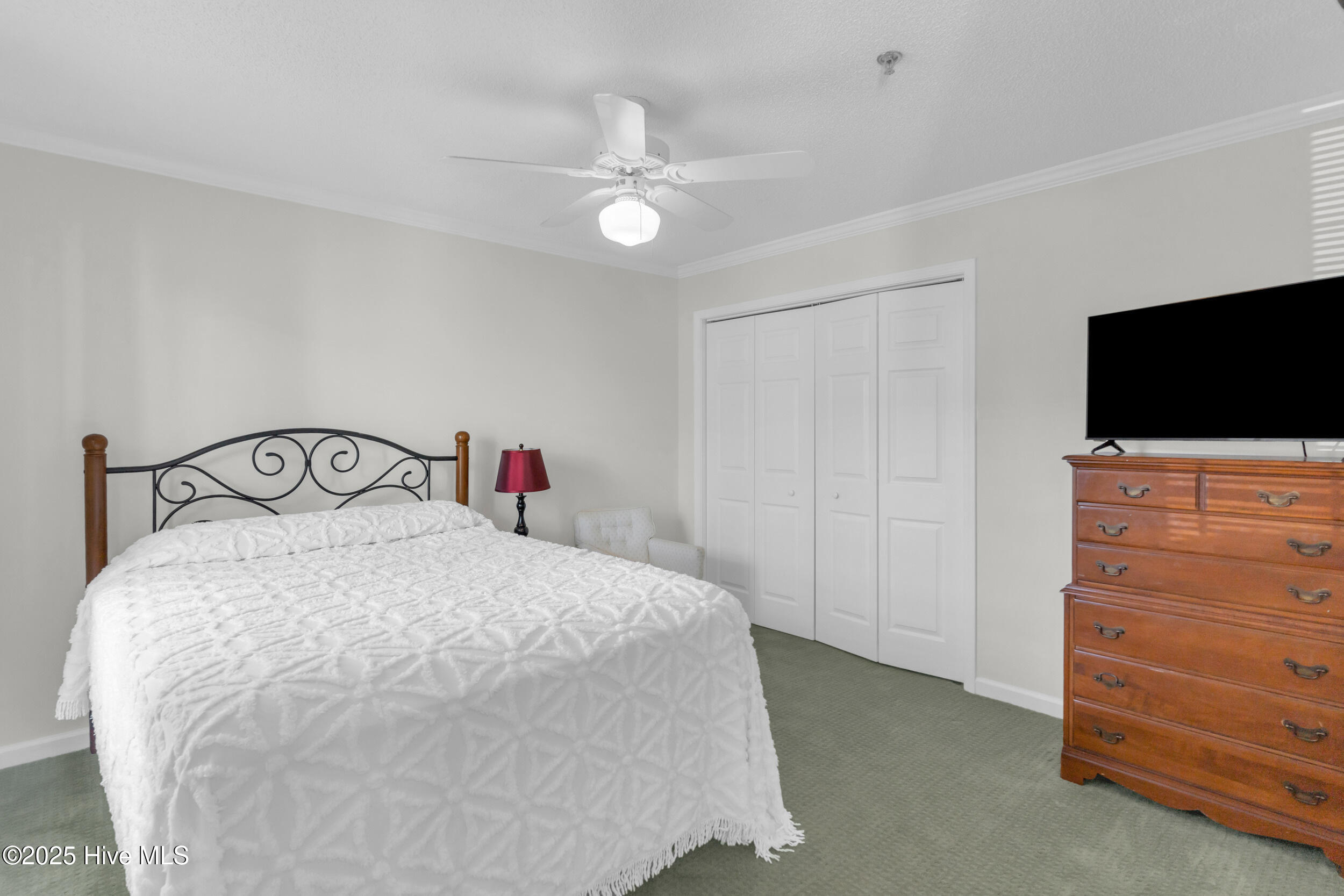 100539370 | Photo 19