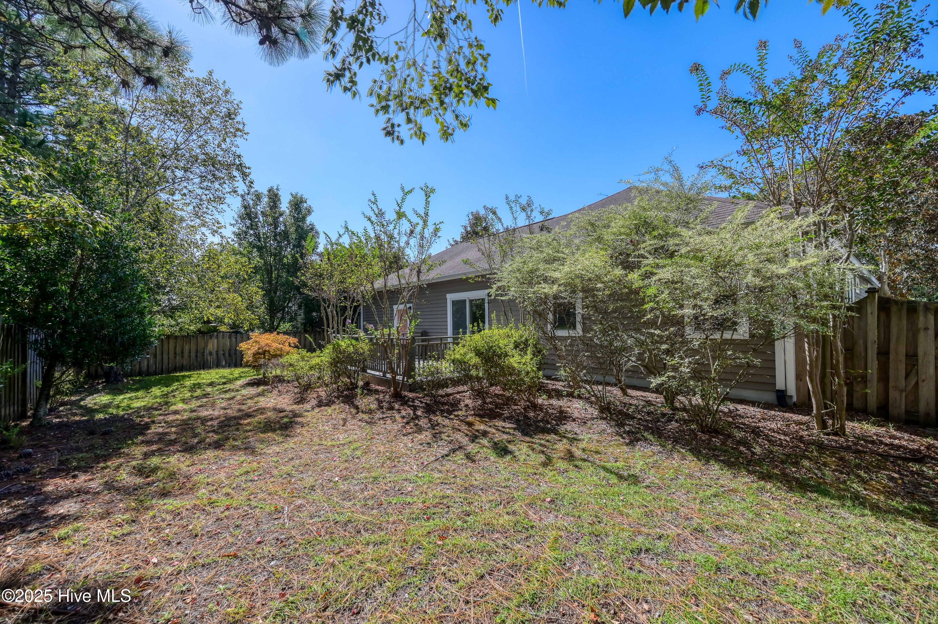 100487602 | Photo 31