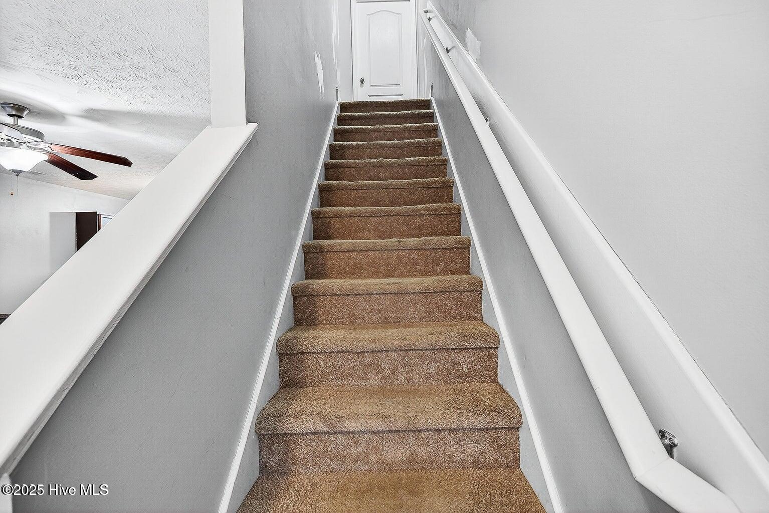 100540863 | Photo 11