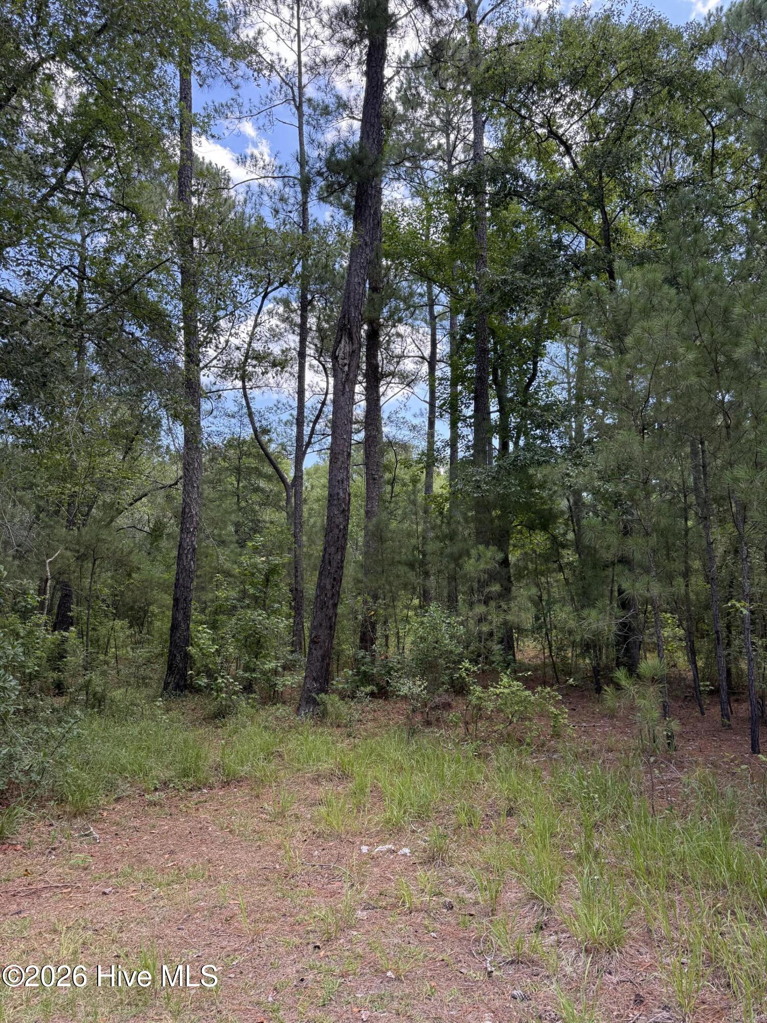 Exterior photo of 532 Old Hoover Bridge Road, Elizabethtown, NC 28337. MLS: 100589365