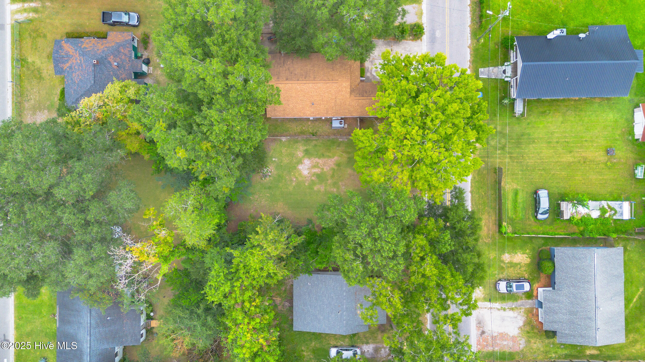 100531151 | Photo 12