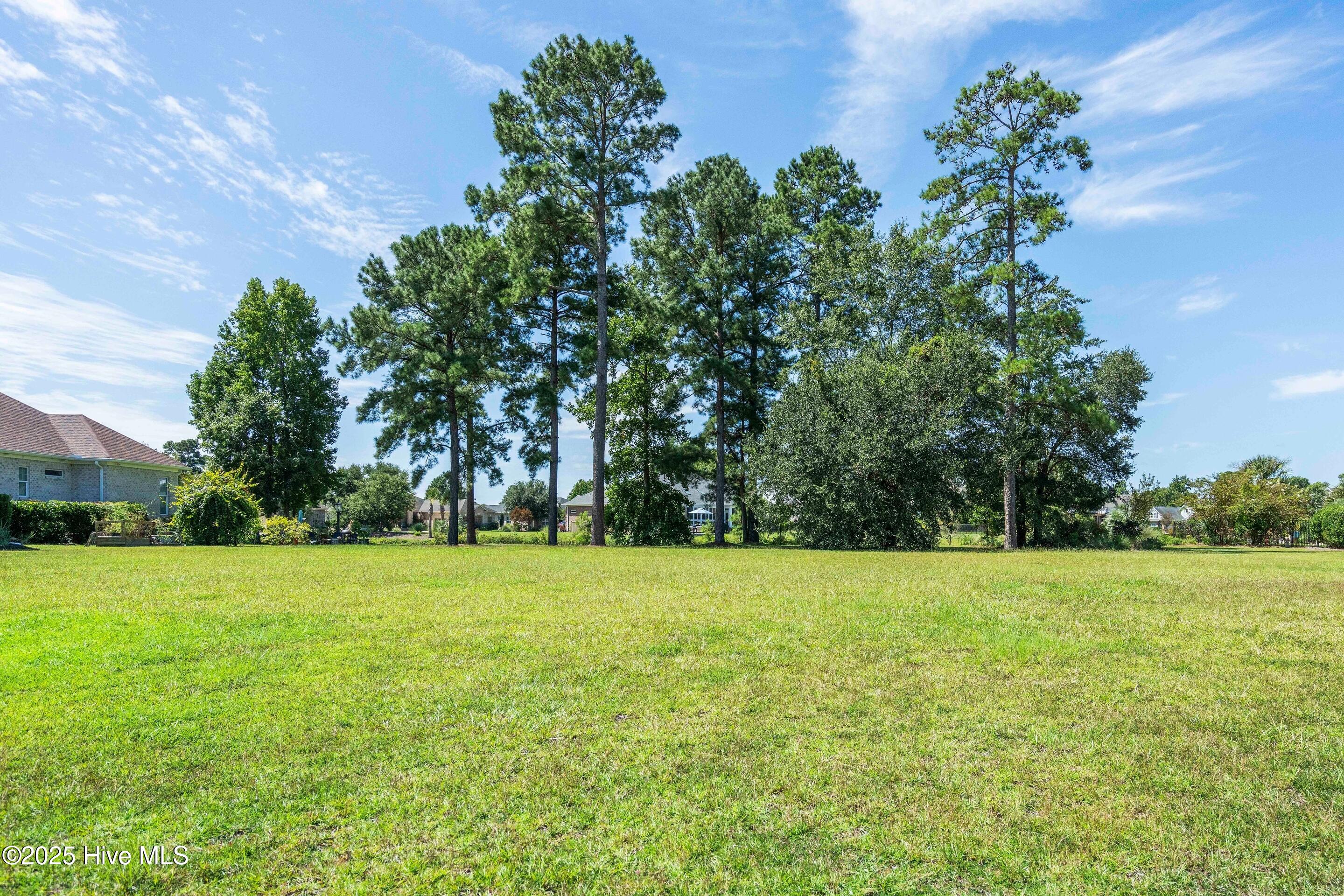 100534642 | Photo 19