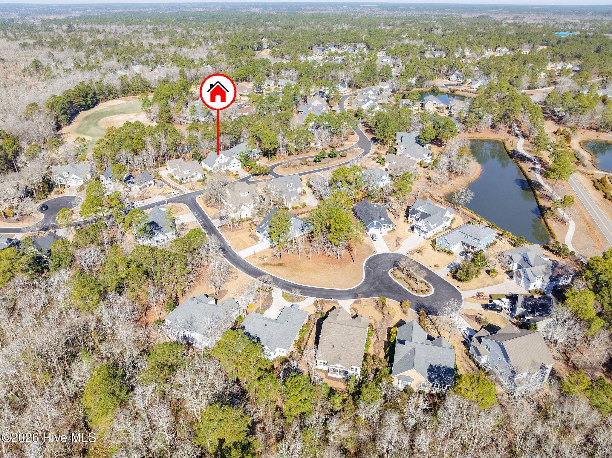 100557018 | Photo 63