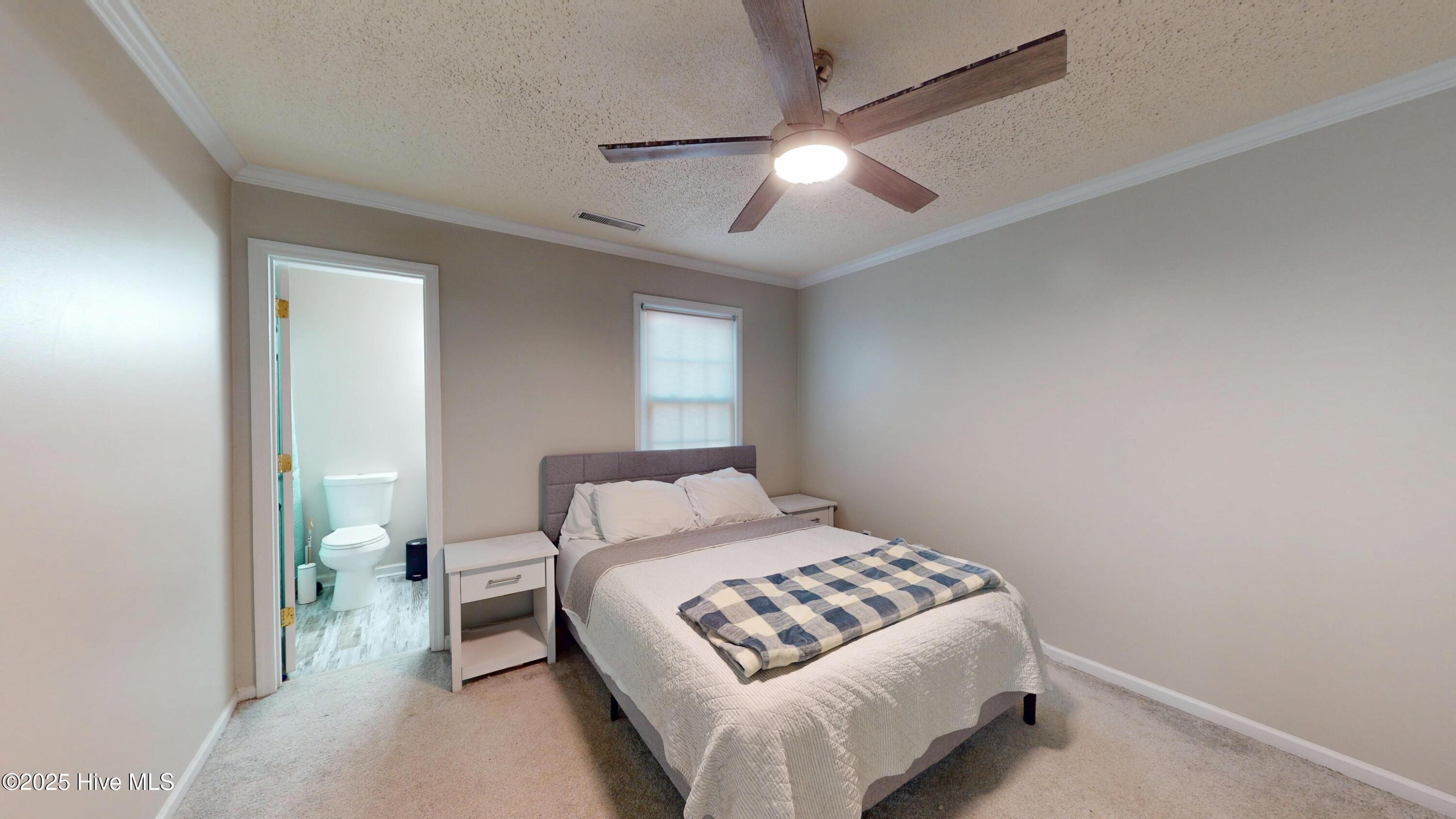 100546181 | Photo 15