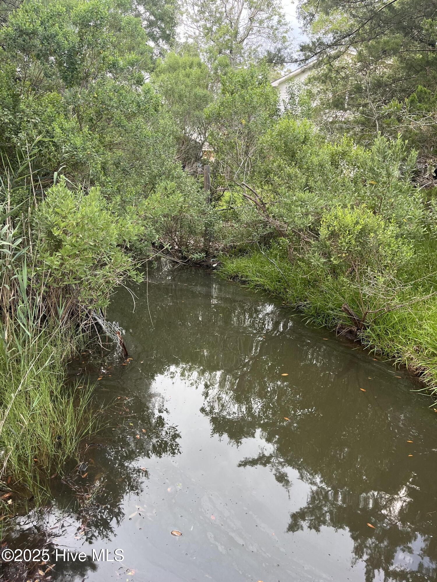 100521049 | Photo 49