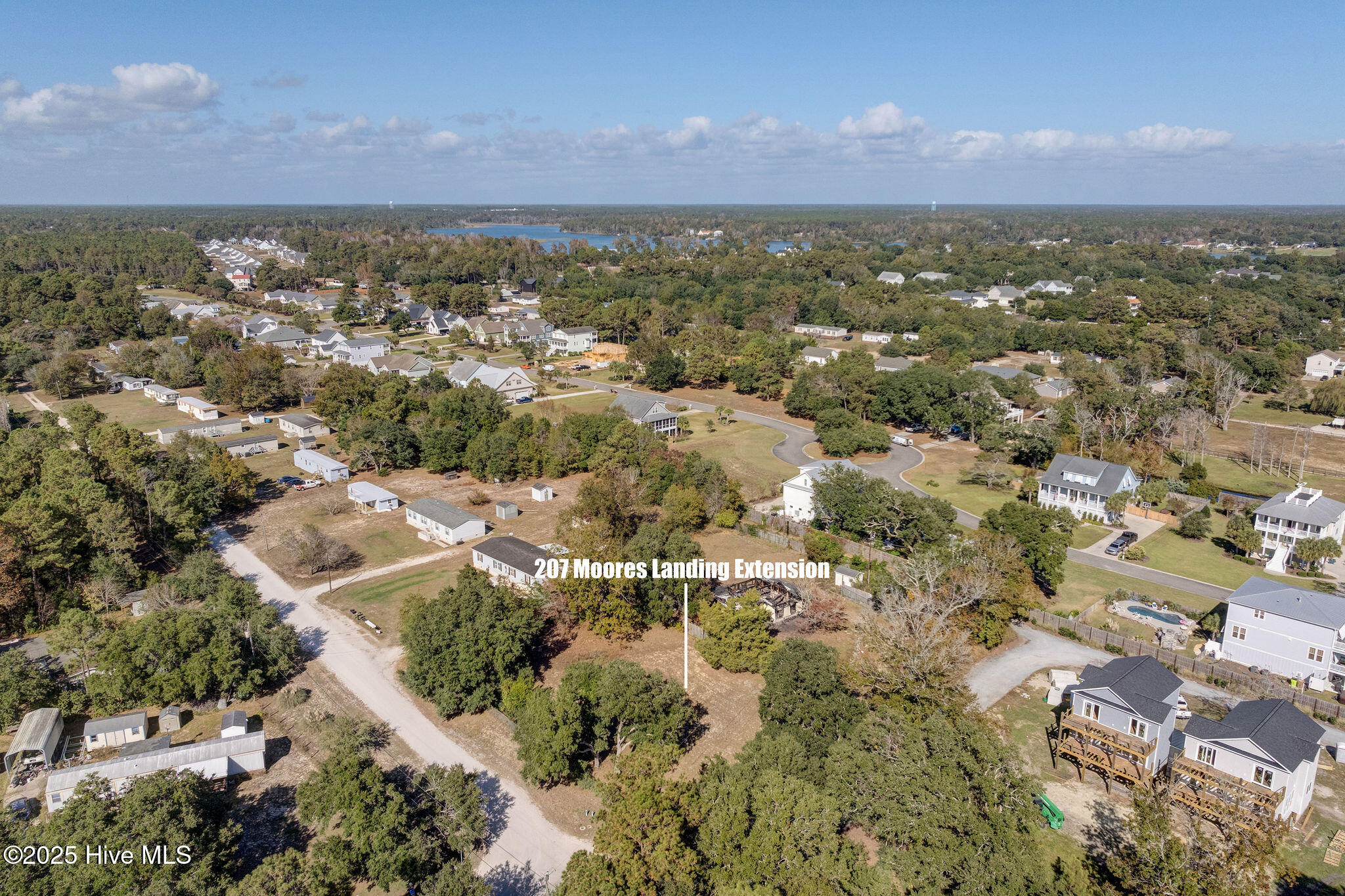 100540434 | Photo 17