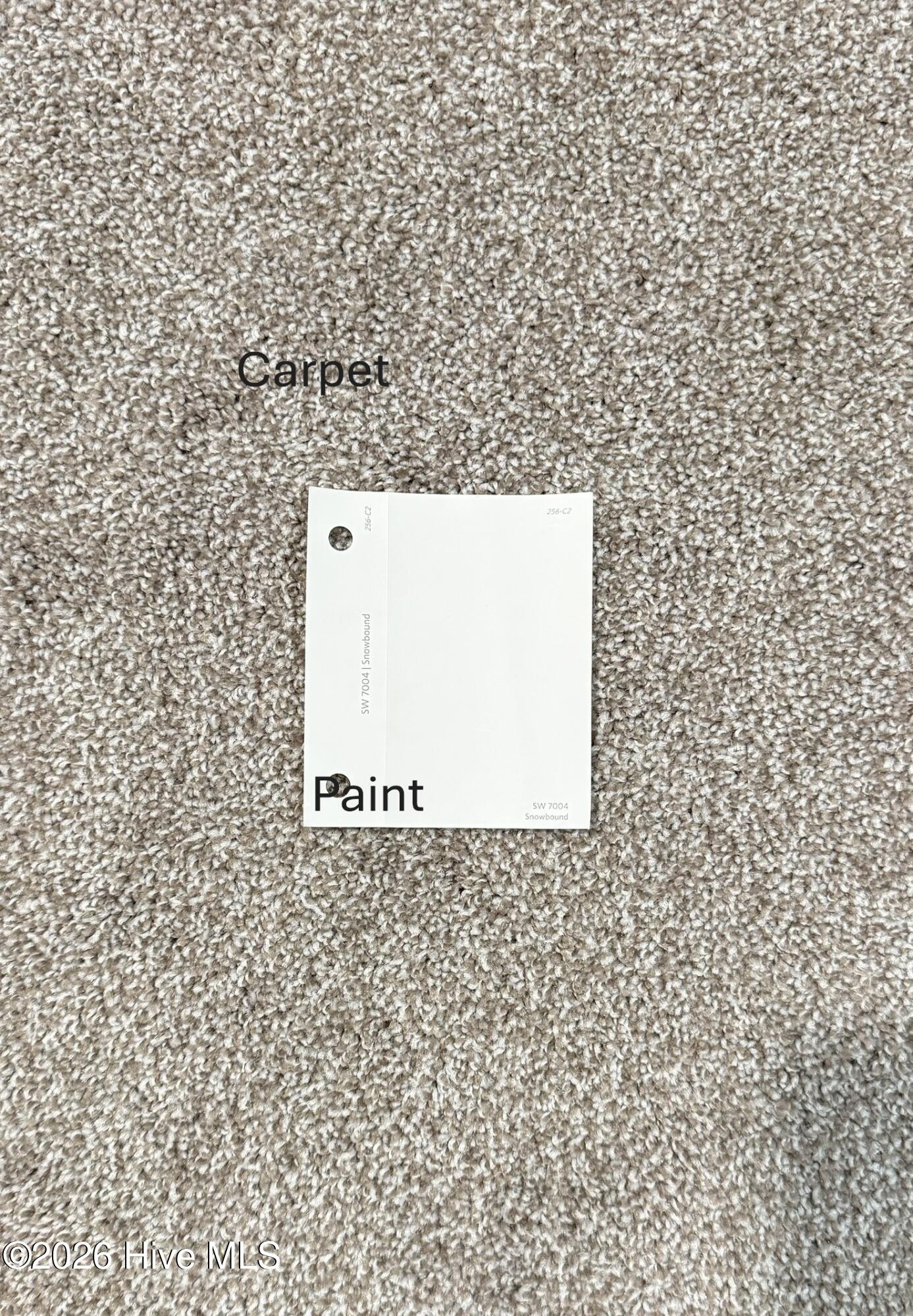 BR5 Carpet & Paint