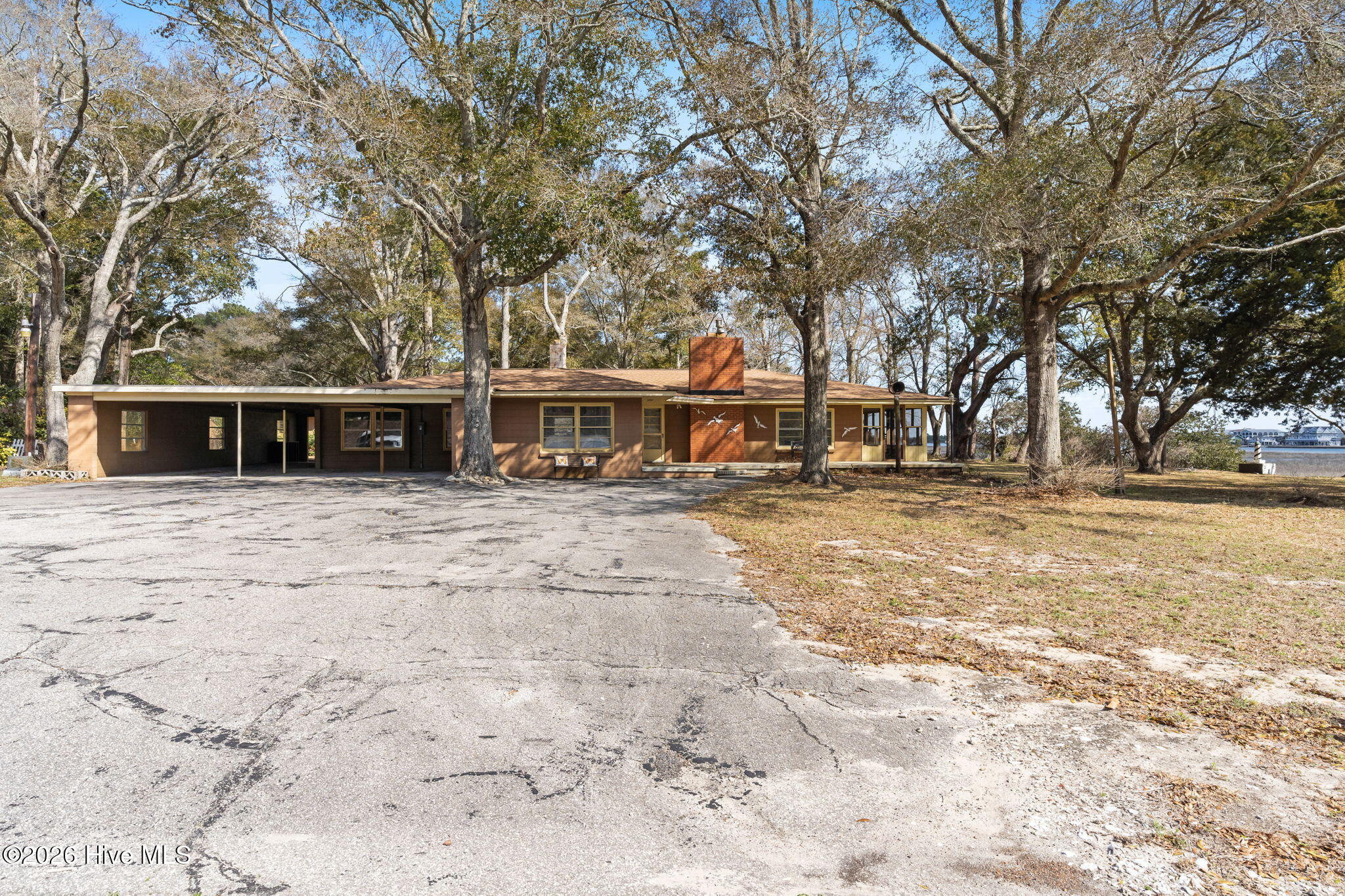 100561810 | Photo 14