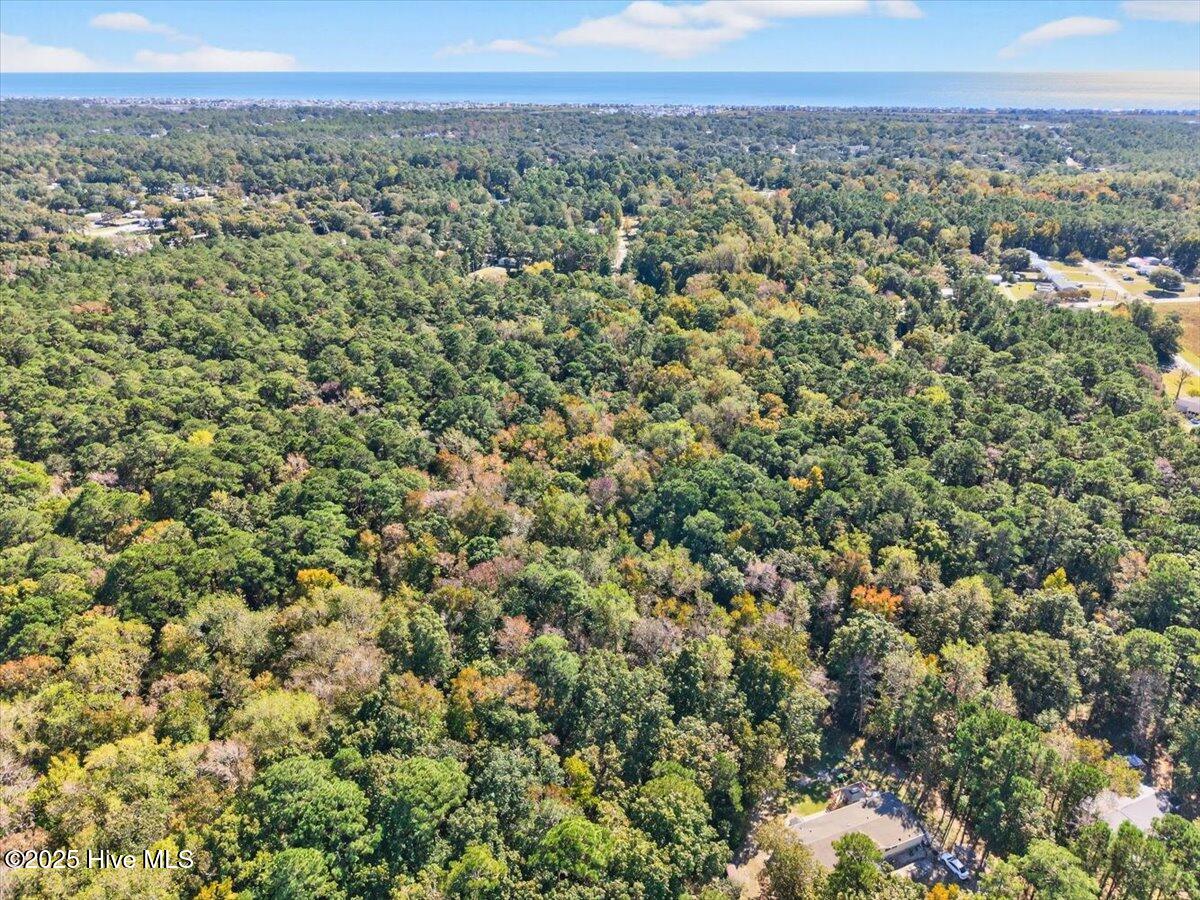 100538805 | Photo 14