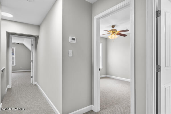 100568075 | Photo 11