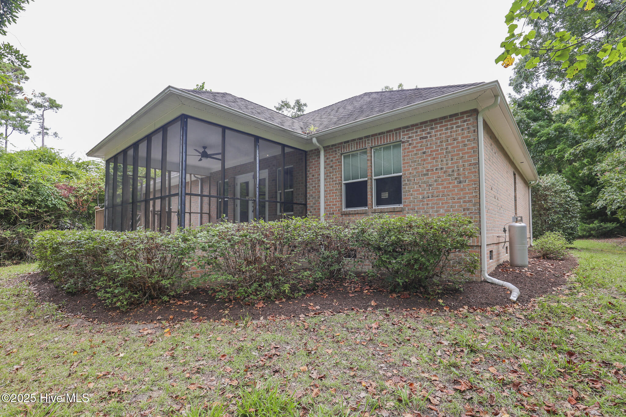 100530782 | Photo 53