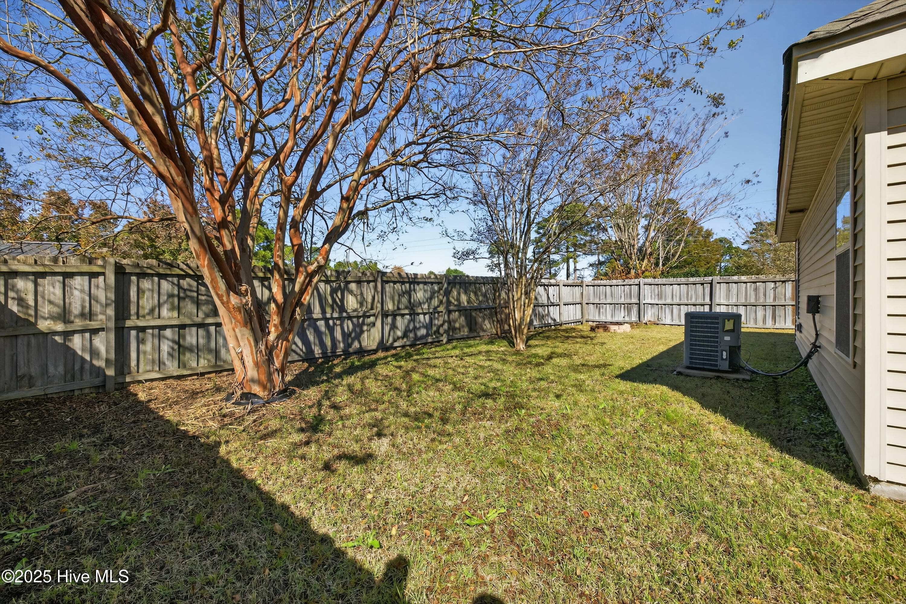 100541920 | Photo 32