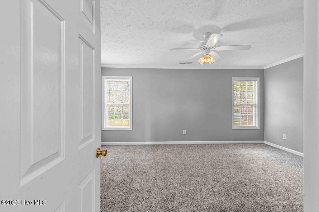 100557733 | Photo 33