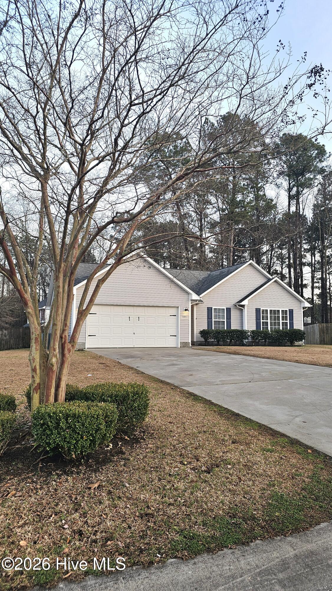 100556005 | Photo 22