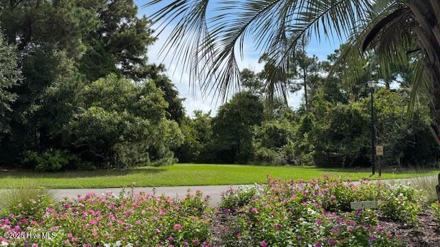 100525886 | Photo 15