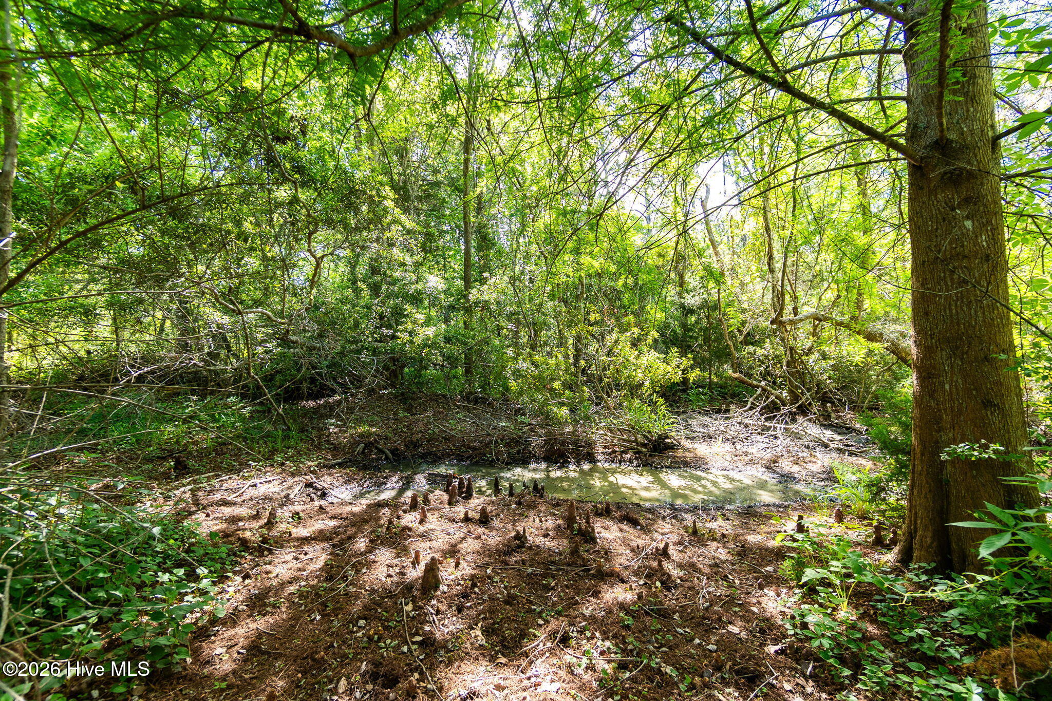 121 Gull Harbor Drive,Newport