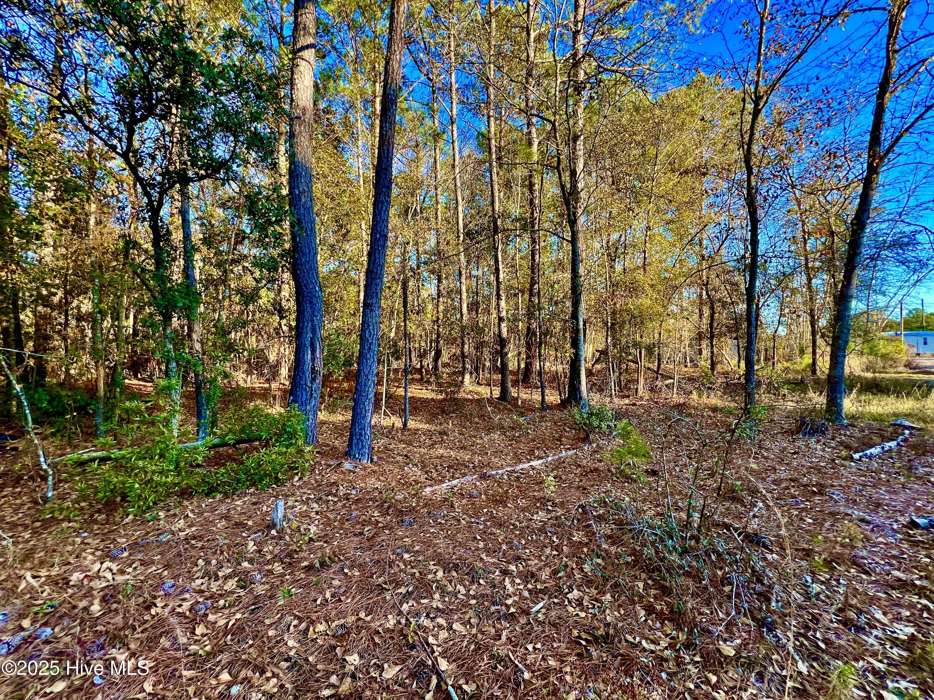 100536501 | Photo 10