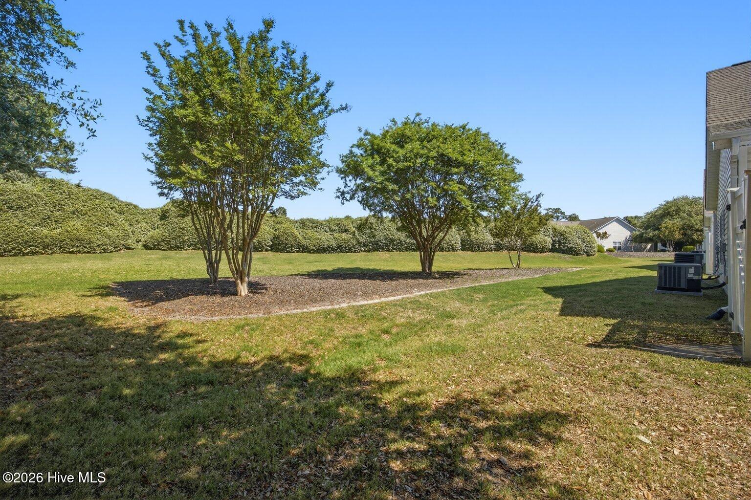 100564958 | Photo 31