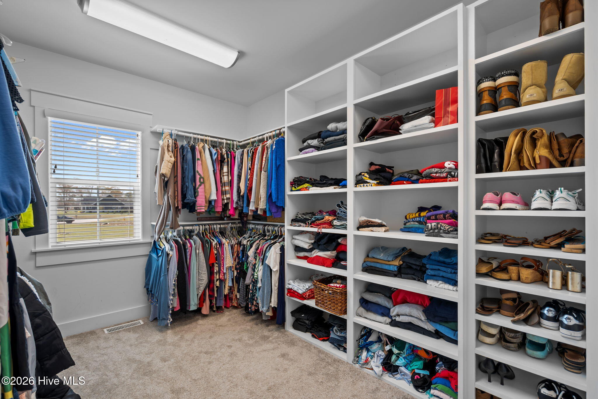 100563591 | Photo 24