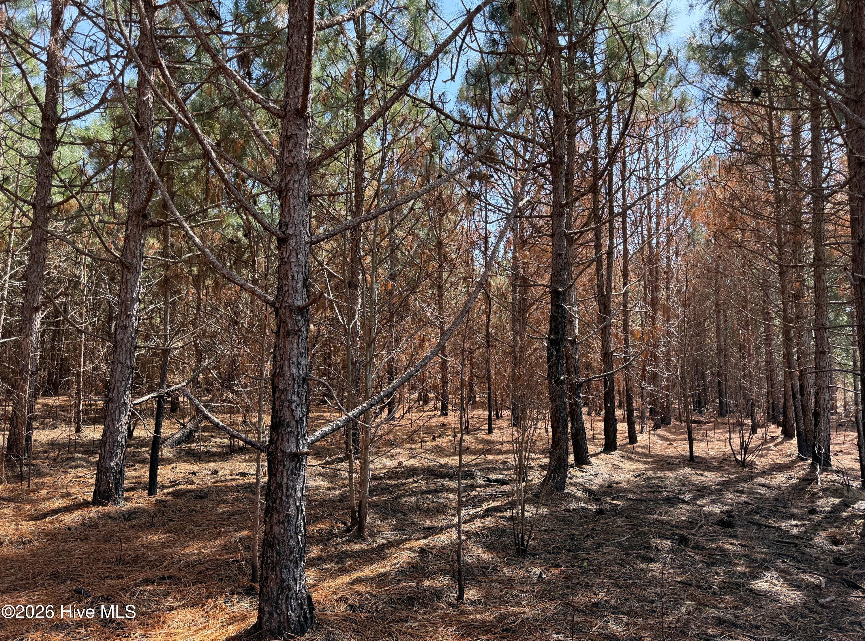 100560557 | Photo 29