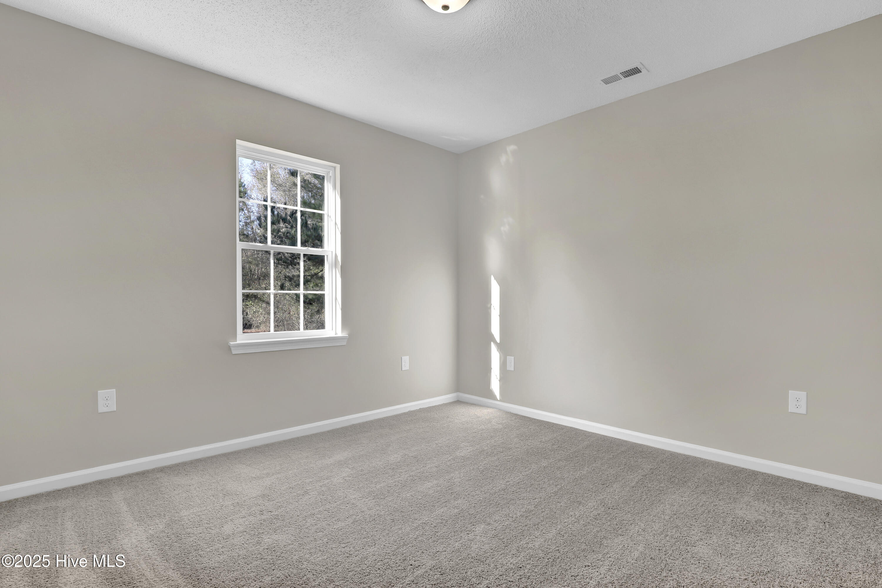 100545251 | Photo 18